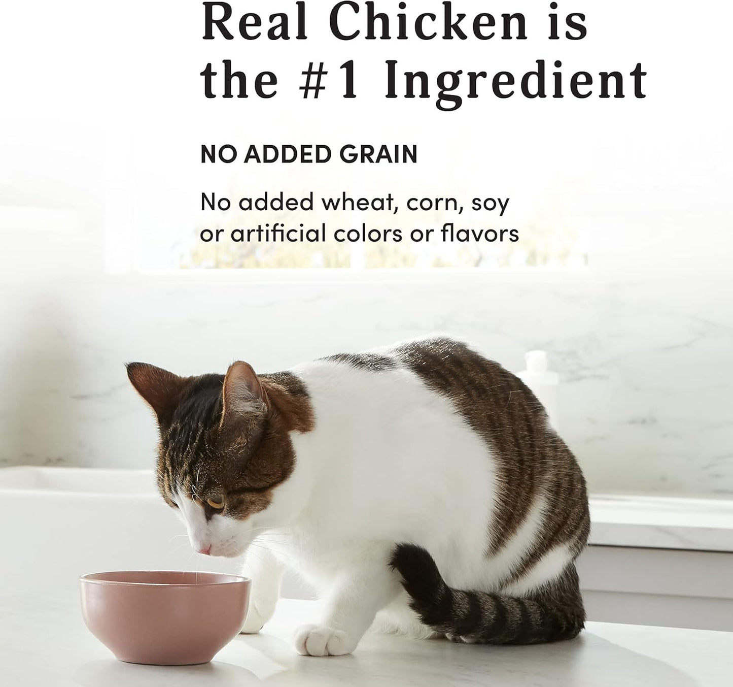 kitzy-wet-cat-food---chicken-cuts-in-gravy-grain-free-kitten---3-oz-pack-of-24-4