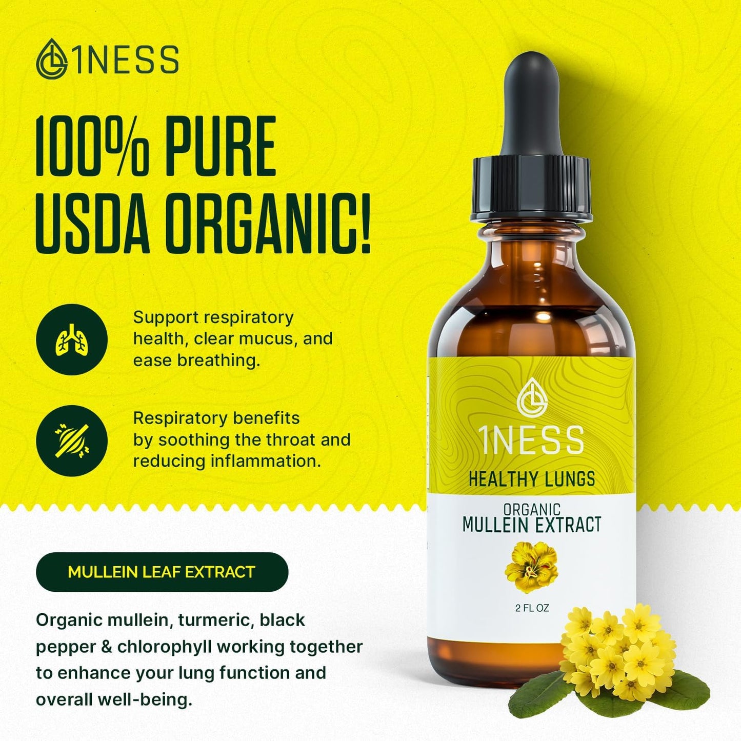 organic-mullein-leaf-extract-drops-for-lung-health-immune-support---2oz-tincture-with-chlorophyll-for-respiratory-wellness---non-gmo-formula-2