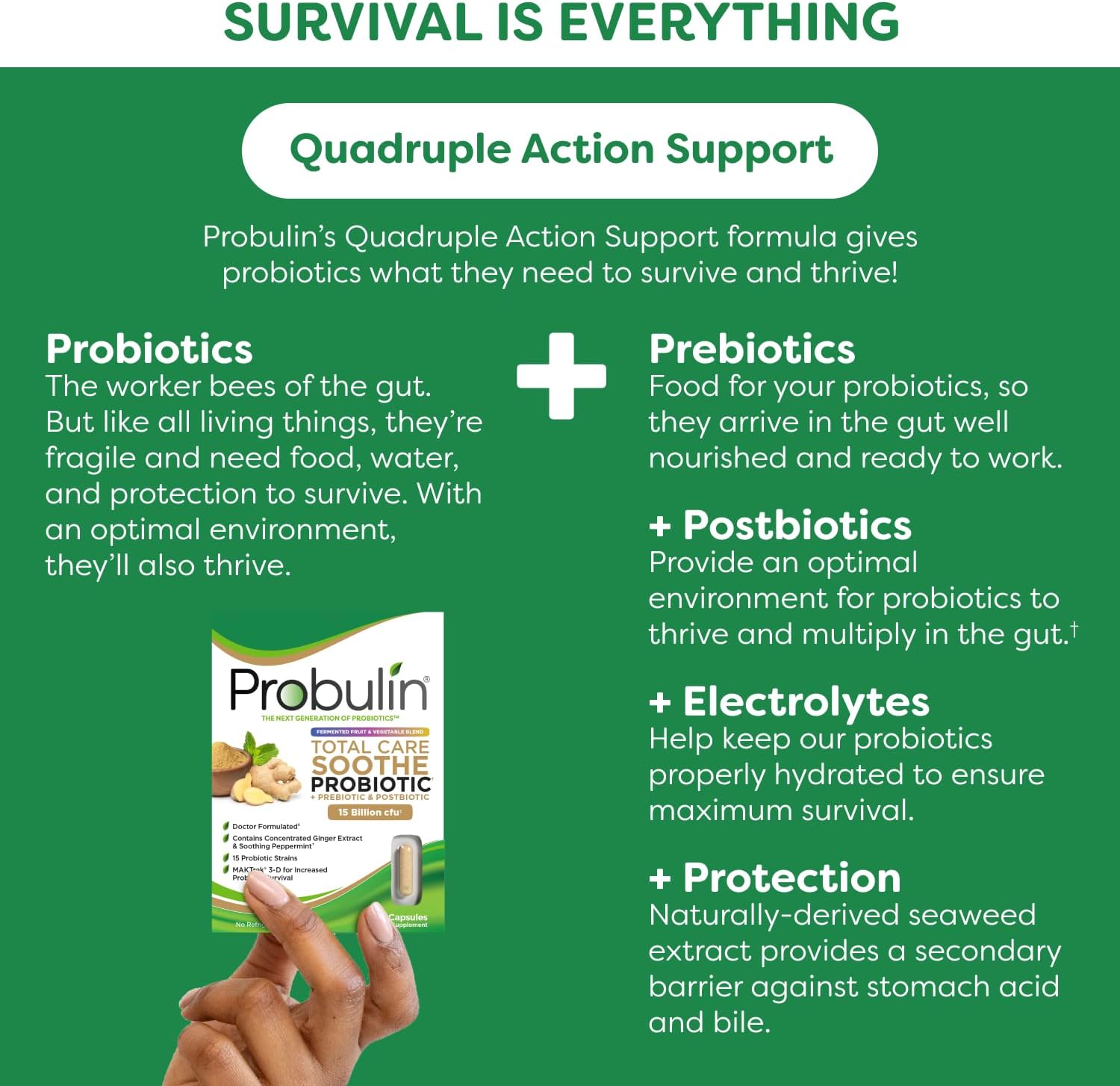 probulin-total-care-soothe-capsules-with-prebiotic-probiotic-postbiotic-ginger-mint---15-billion-cfu-30-vegan-capsules-7