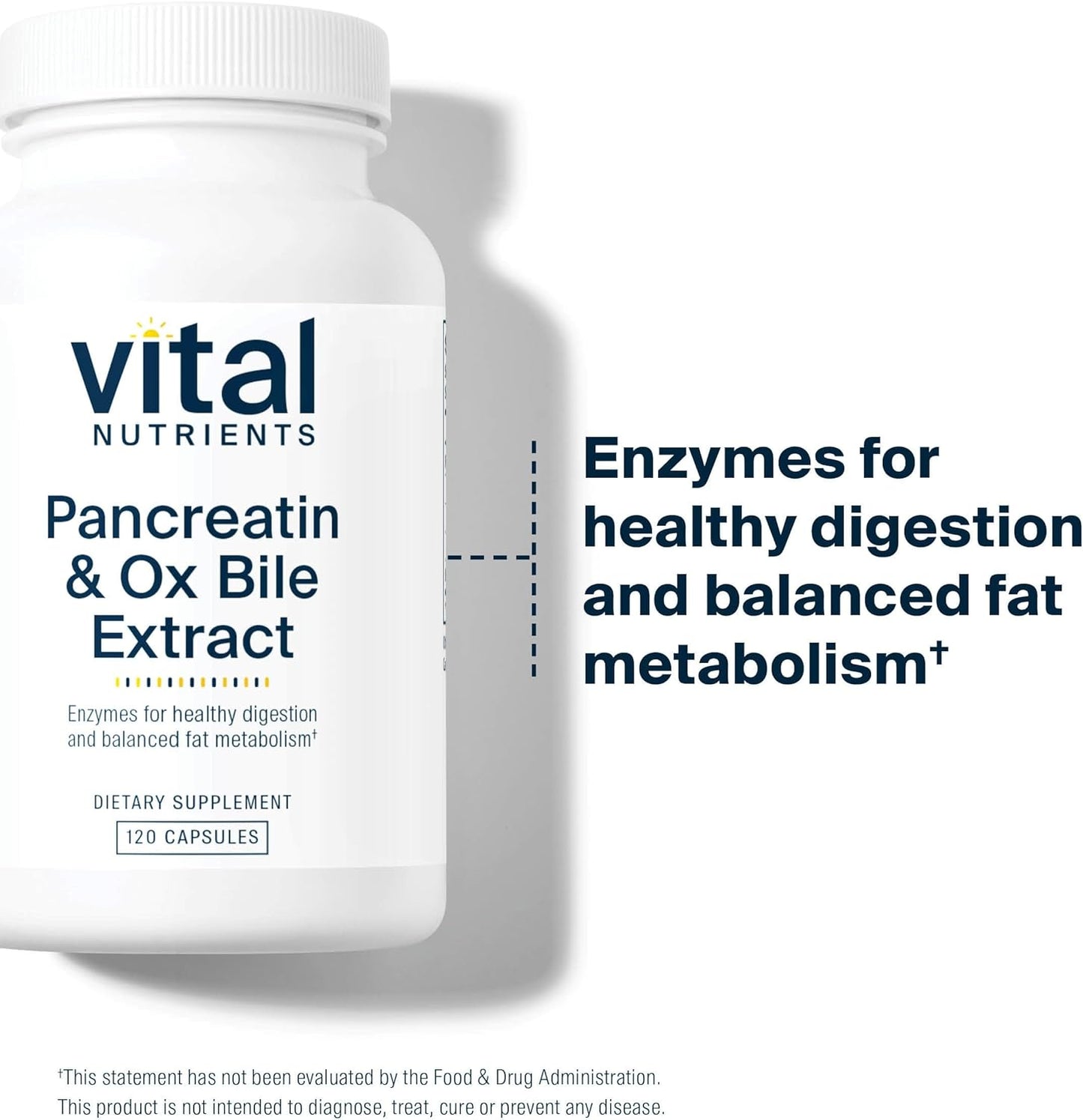 premium-pancreatin-ox-bile-extract-capsules---500mg-natural-digestive-enzymes-for-men-women-supports-protein-fat-carbohydrate-digestion-gluten-dairy-soy-free---120-capsules-3