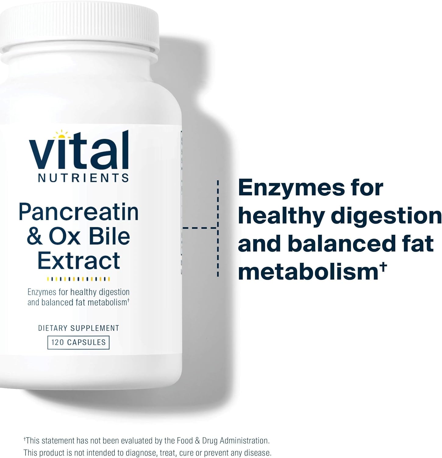 premium-pancreatin-ox-bile-extract-capsules---500mg-natural-digestive-enzymes-for-men-women-supports-protein-fat-carbohydrate-digestion-gluten-dairy-soy-free---120-capsules-3