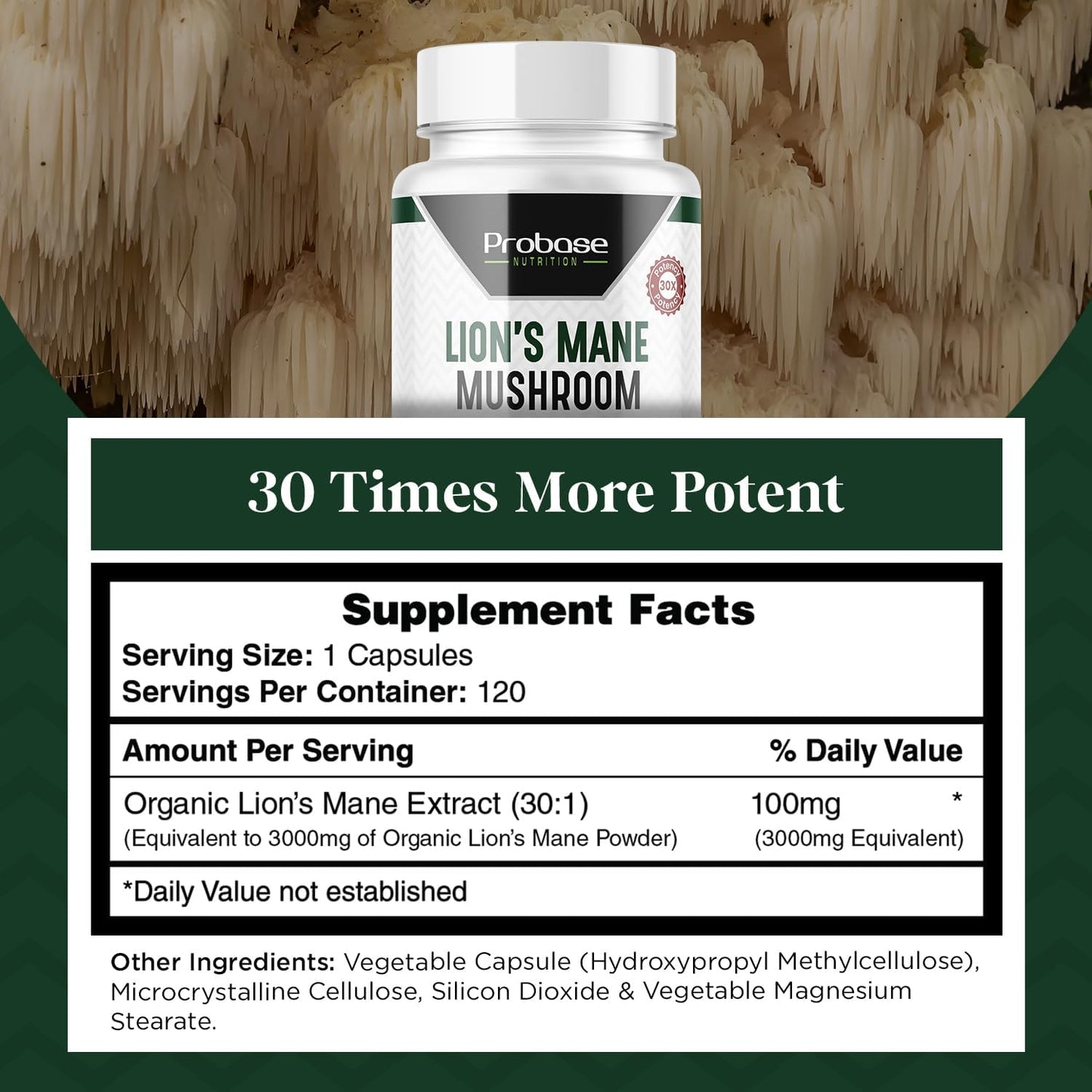 high-potency-lions-mane-mushroom-supplement-capsules---4-month-supply-120-count-by-probase-nutrition-5