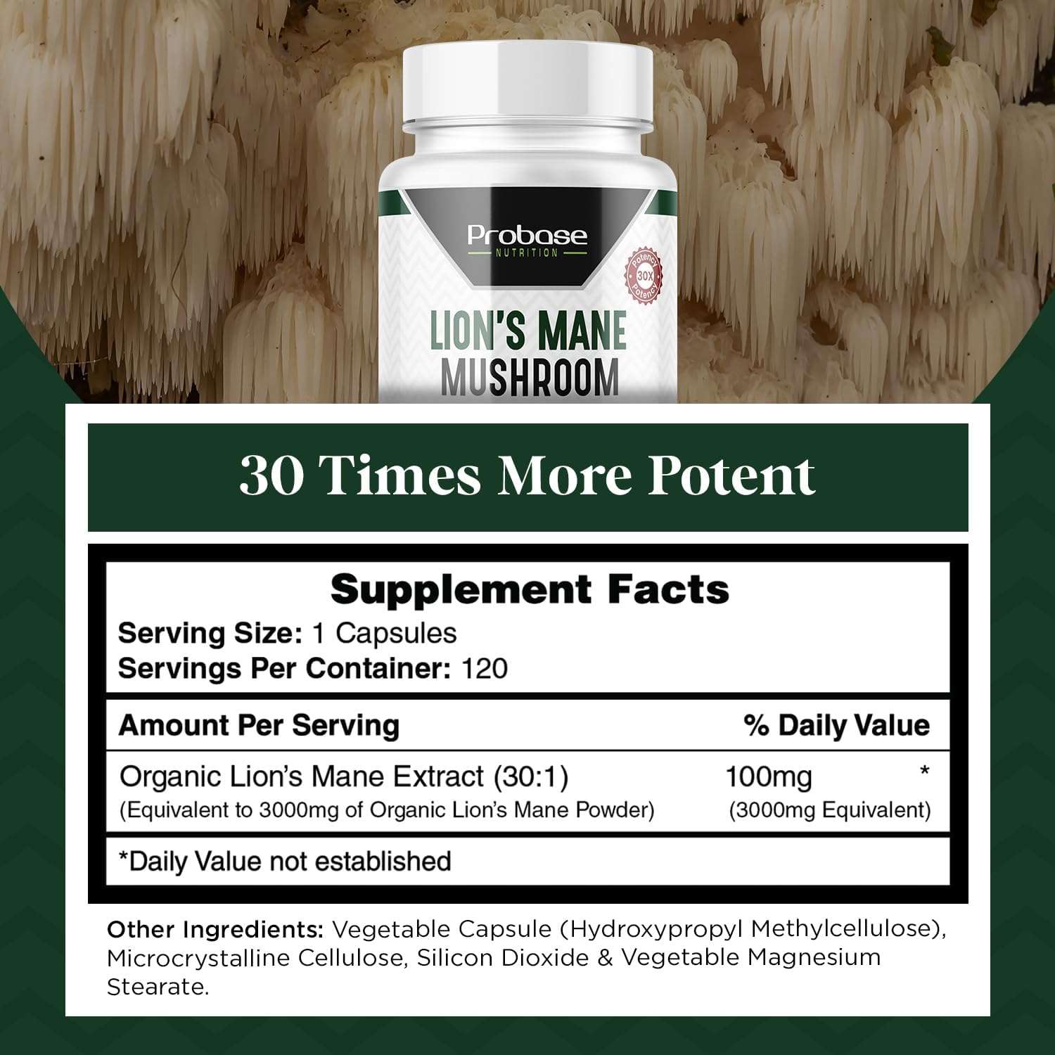 high-potency-lions-mane-mushroom-supplement-capsules---4-month-supply-120-count-by-probase-nutrition-5
