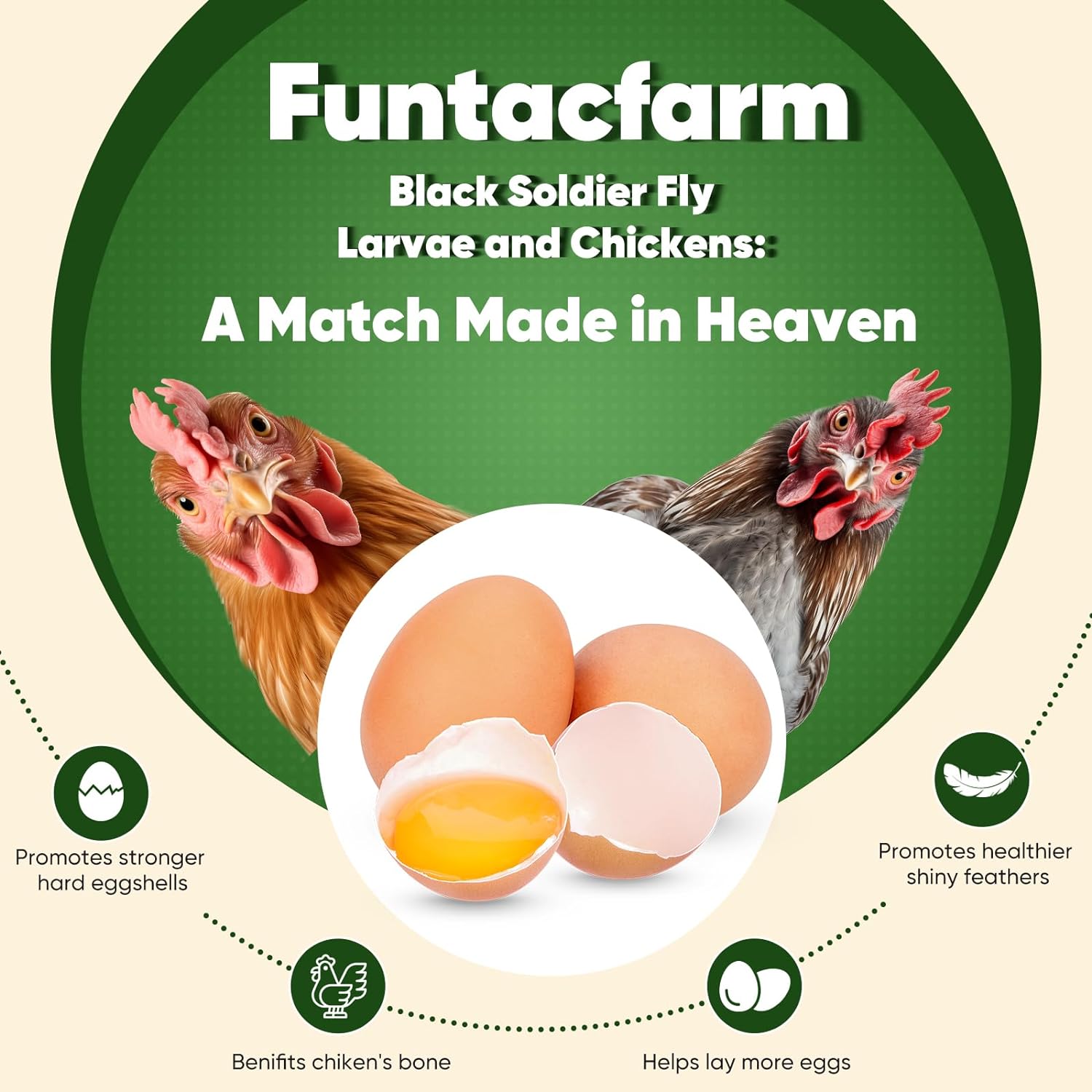 5lb-organic-black-soldier-fly-larvae-for-chickens-high-calcium-chicken-treat-gmo-free-chicken-feed-supplement-3