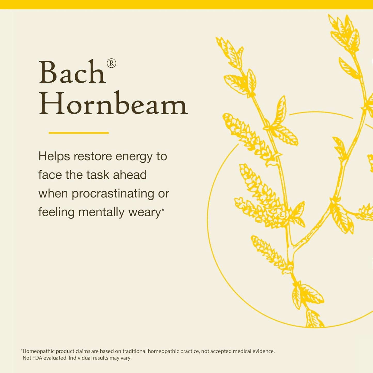 natural-bach-flower-essence-for-procrastination-20ml-dropper---vegan-holistic-wellness-3