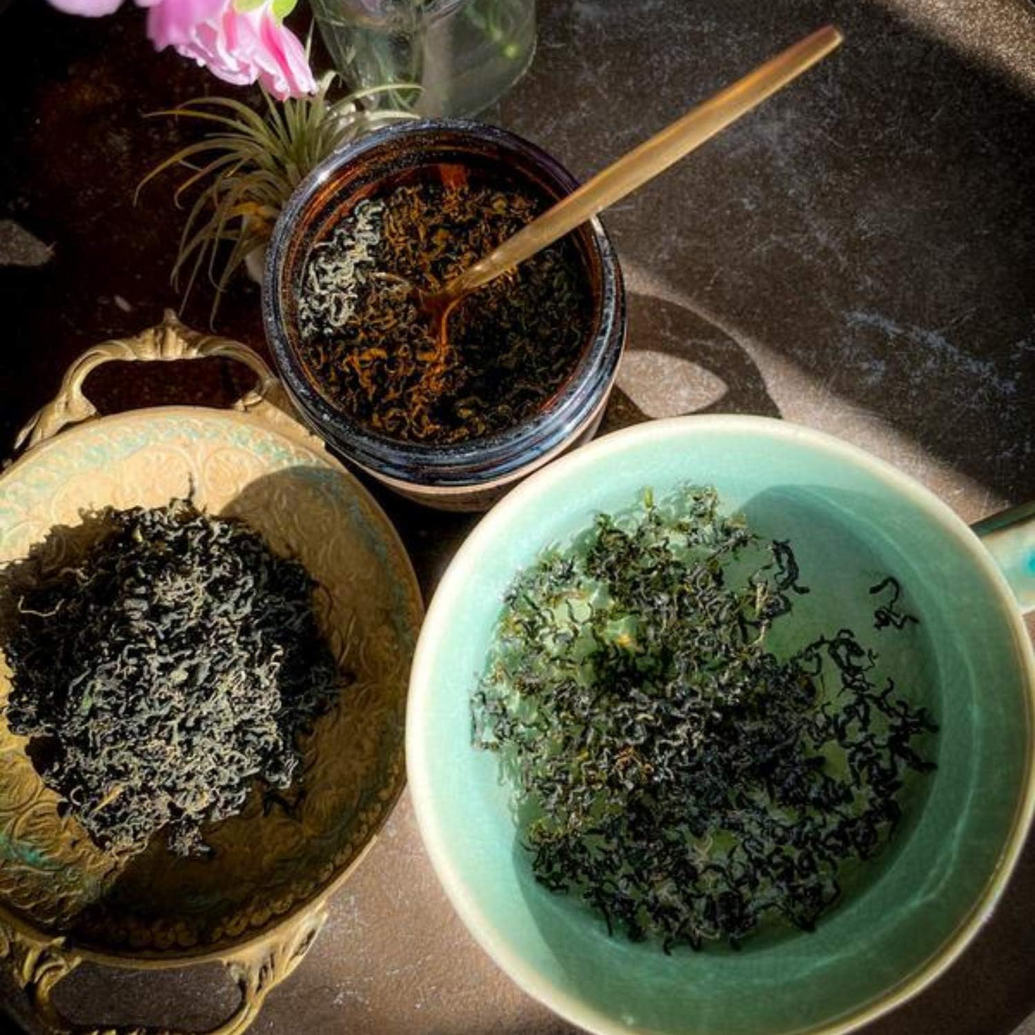 anima-mundi-gynostemma-tea-leaves---wild-harvested-jiaogulan-leaf-for-tea---rich-in-nutrients-antioxidants-vitamins-and-minerals---2oz-57g-pack-3