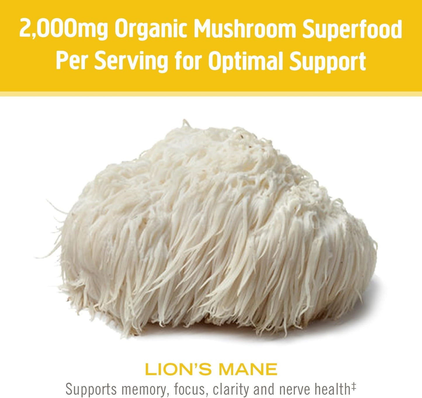 Organic Lion's Mane & Reishi Mushroom Powder Bundle - 7.05oz, 200 Servings - Espot.com.au