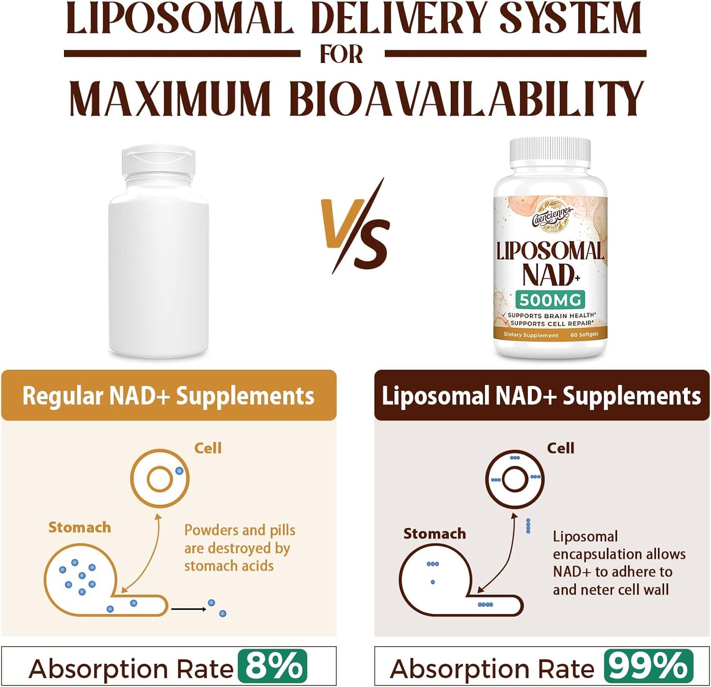 highly-absorbable-liposomal-nad-500-mg-supplement-for-energy-healthy-aging---180-servings-premium-nad-plus-formula-3
