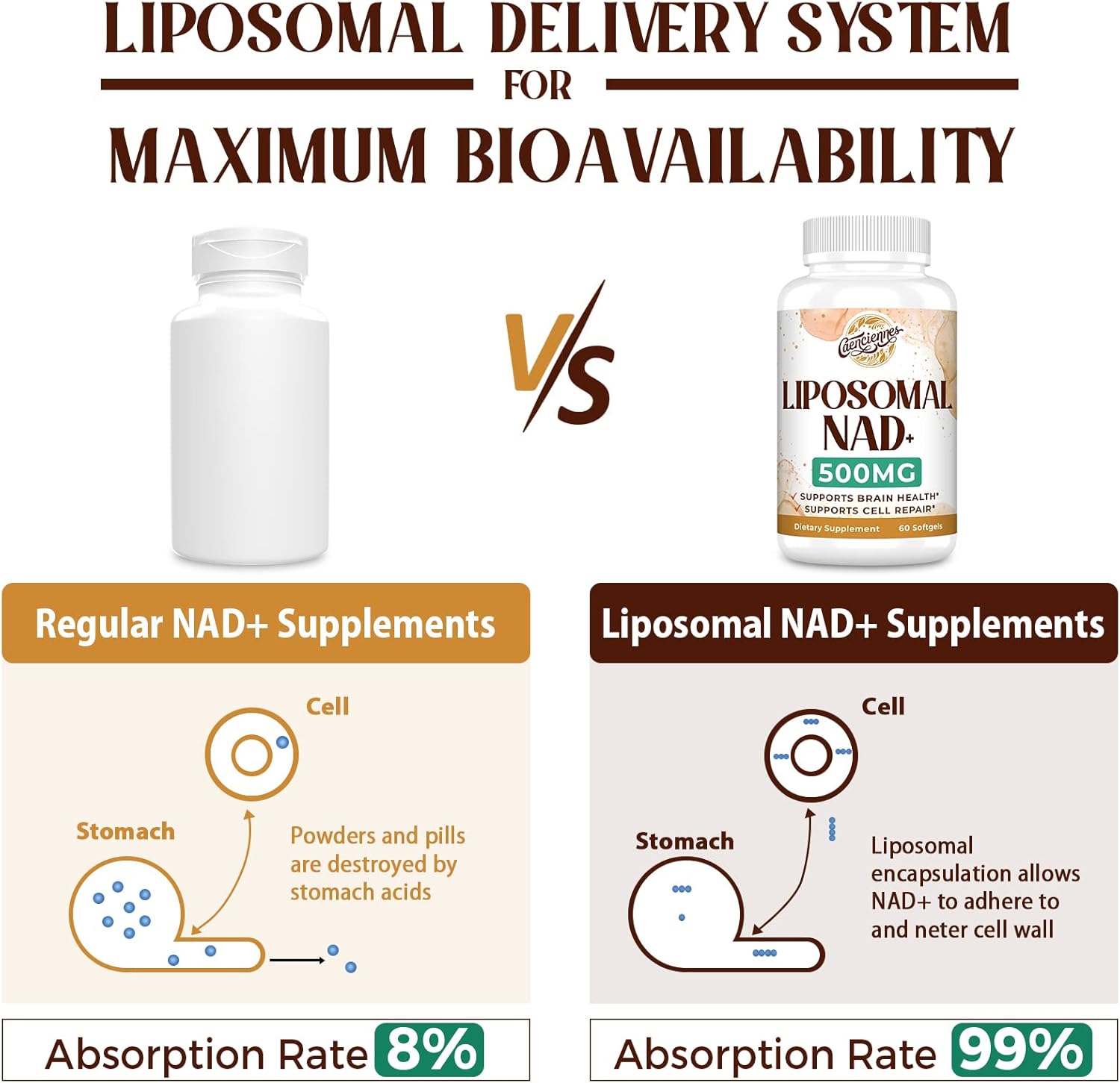 highly-absorbable-liposomal-nad-500-mg-supplement-for-energy-healthy-aging---180-servings-premium-nad-plus-formula-3