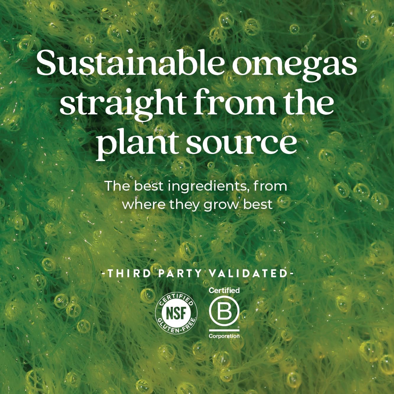 vegan-omega-3-supplement-for-heart-brain-eye-joint-support---30-softgels-by-new-chapter-5