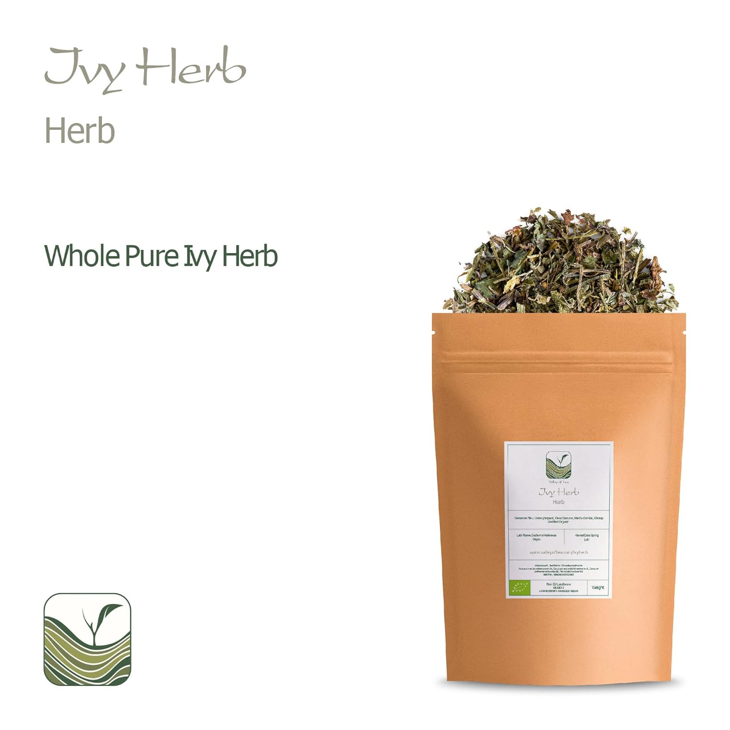 Organic Ground Ivy Tea - Premium Quality Catsfoot Herbal Tea - Glechoma Hederacea Ivy Herb Tea - Valley of Tea Blend - Espot.com.au
