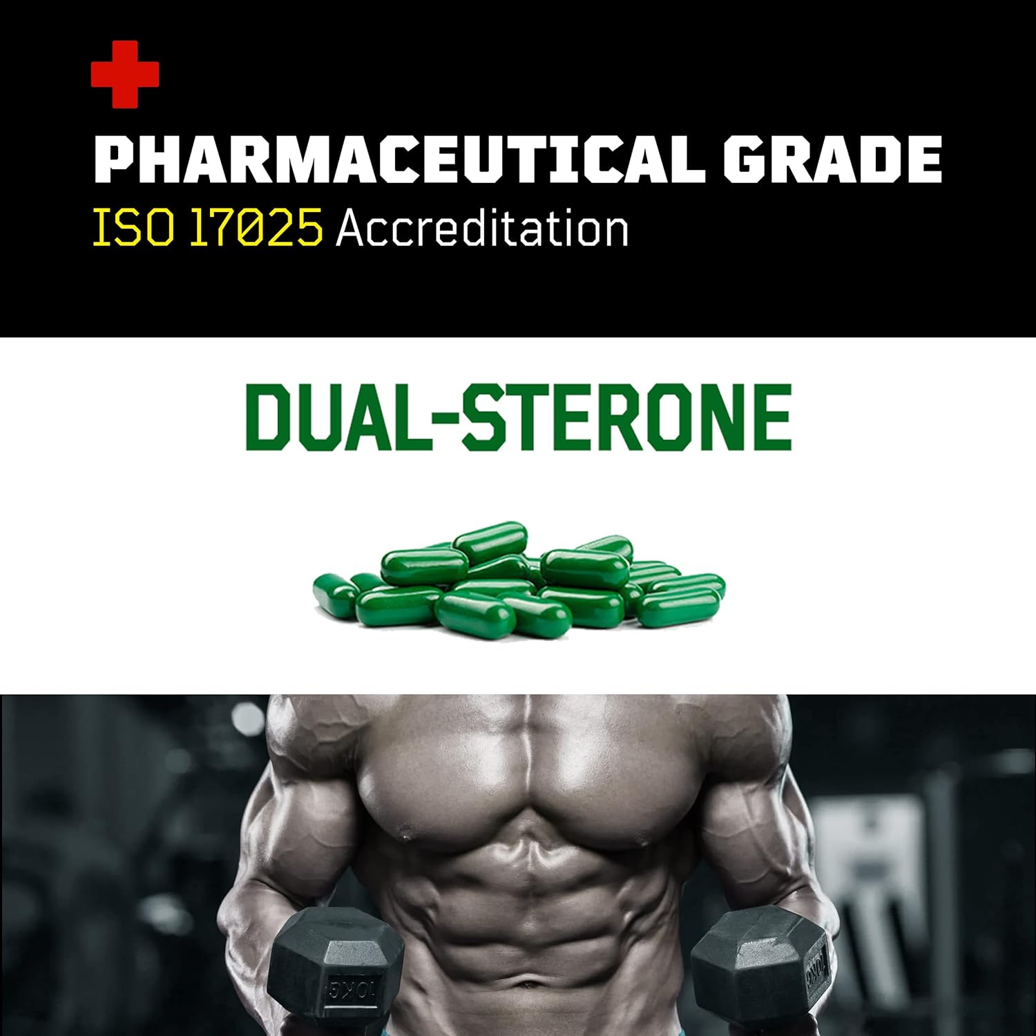 Flight Armour Turkesterone and Ecdysterone Anabolic Supplement - 2 Month Supply (120 Capsules) | Olympic Grade Tested, ISO 17025 Certified | 1000mg - 98%-95% Purity with Lab Synthesized Cyclodextrin - Espot.com.au
