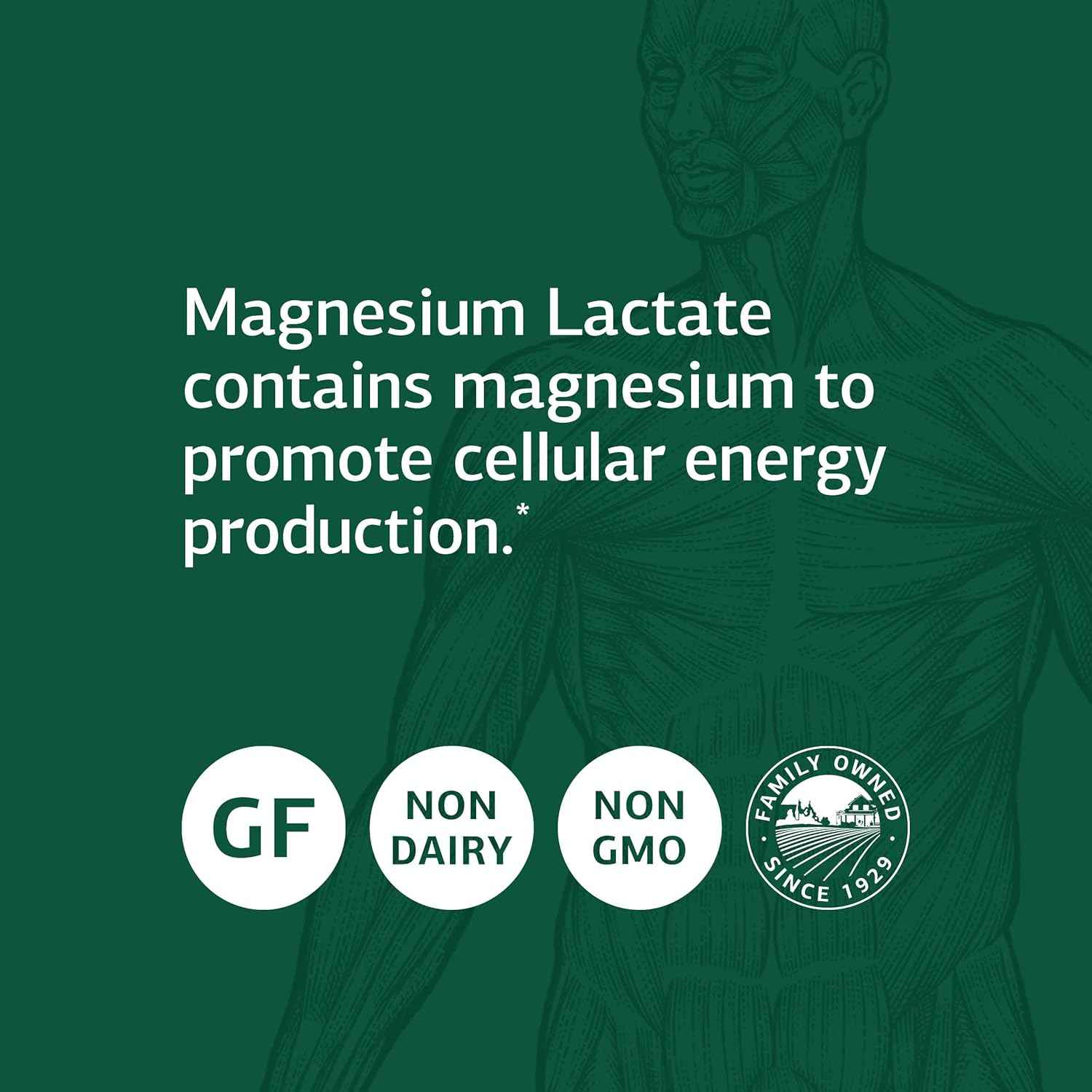 Standard Process Magnesium Lactate Capsules - Supports Cell Energy, Muscle, Bone, Heart & Nervous System - Bioavailable Form - 90 Count