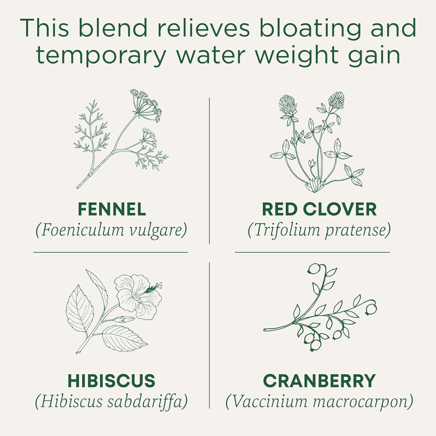 organic-cranberry-tea-for-temporary-water-weight-gain-relief---16-tea-bags-by-traditional-medicinals-2