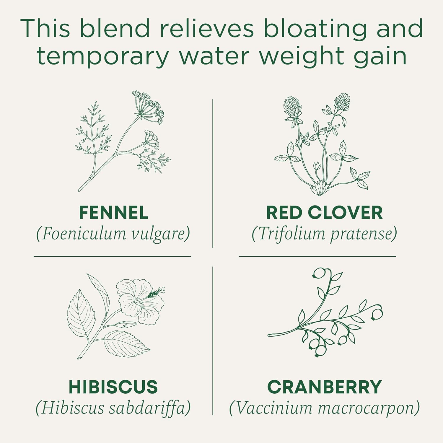 organic-weightless-cranberry-tea-bags---96-bags-6-pack-for-temporary-water-weight-gain-relief-by-traditional-medicinals-2
