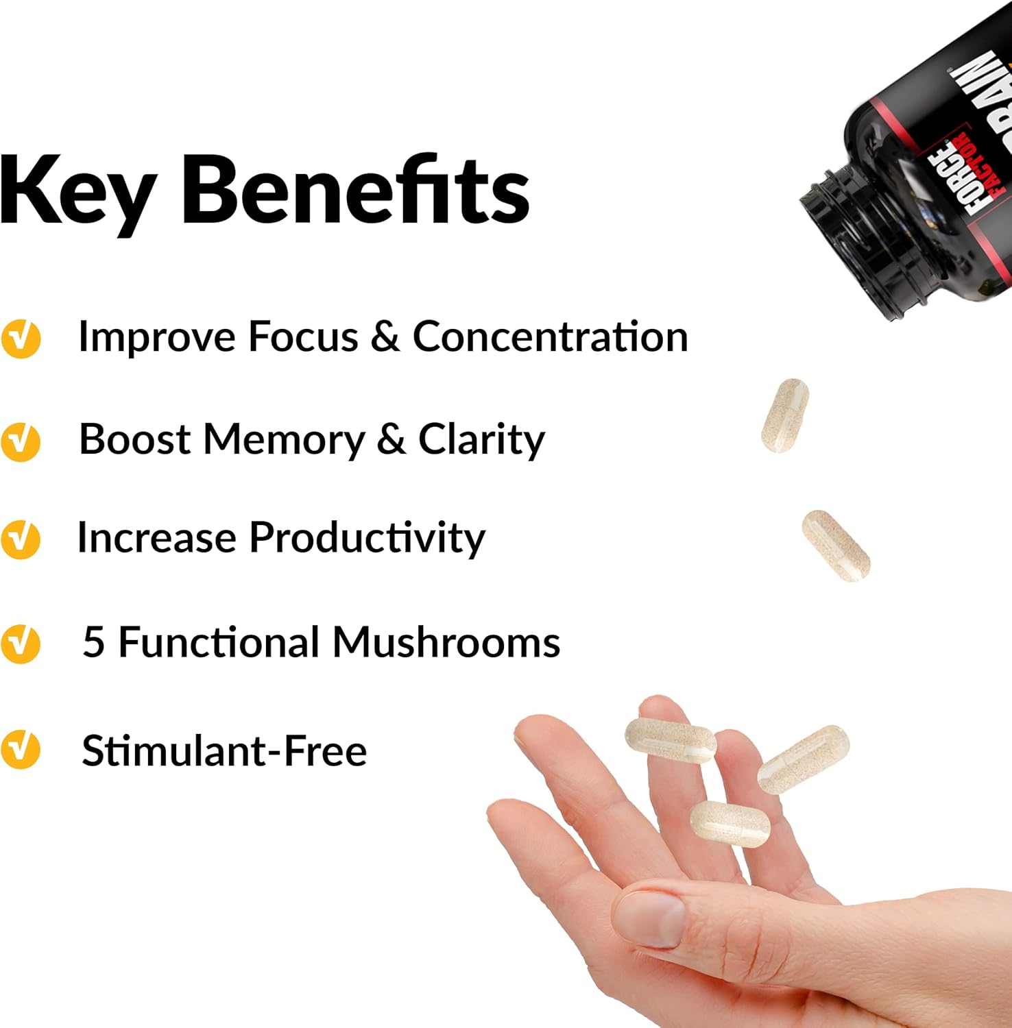 forebrain-focus-brain-booster---improve-clarity-memory-and-productivity---nootropic-support-supplement---120-capsules-2