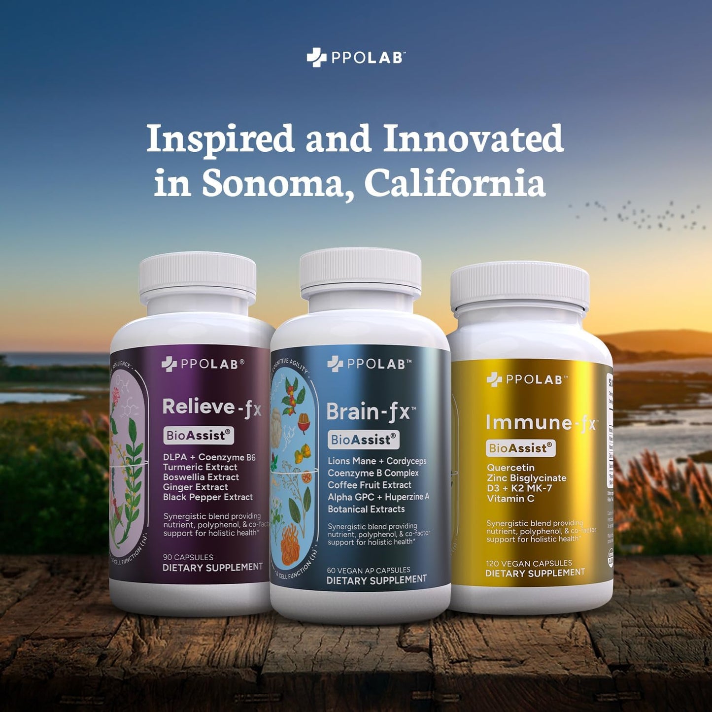 Extra Strength Turmeric Curcumin Supplement with Boswellia, Ginger, DLPA - 90 Vegan Capsules for Inflammation, Joint Support, Mood Relief, and Digestion - Espot.com.au