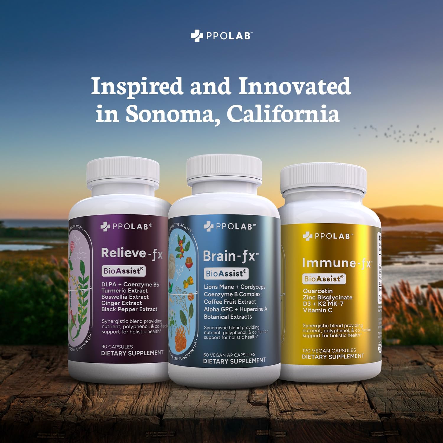 Extra Strength Turmeric Curcumin Supplement with Boswellia, Ginger, DLPA - 90 Vegan Capsules for Inflammation, Joint Support, Mood Relief, and Digestion - Espot.com.au