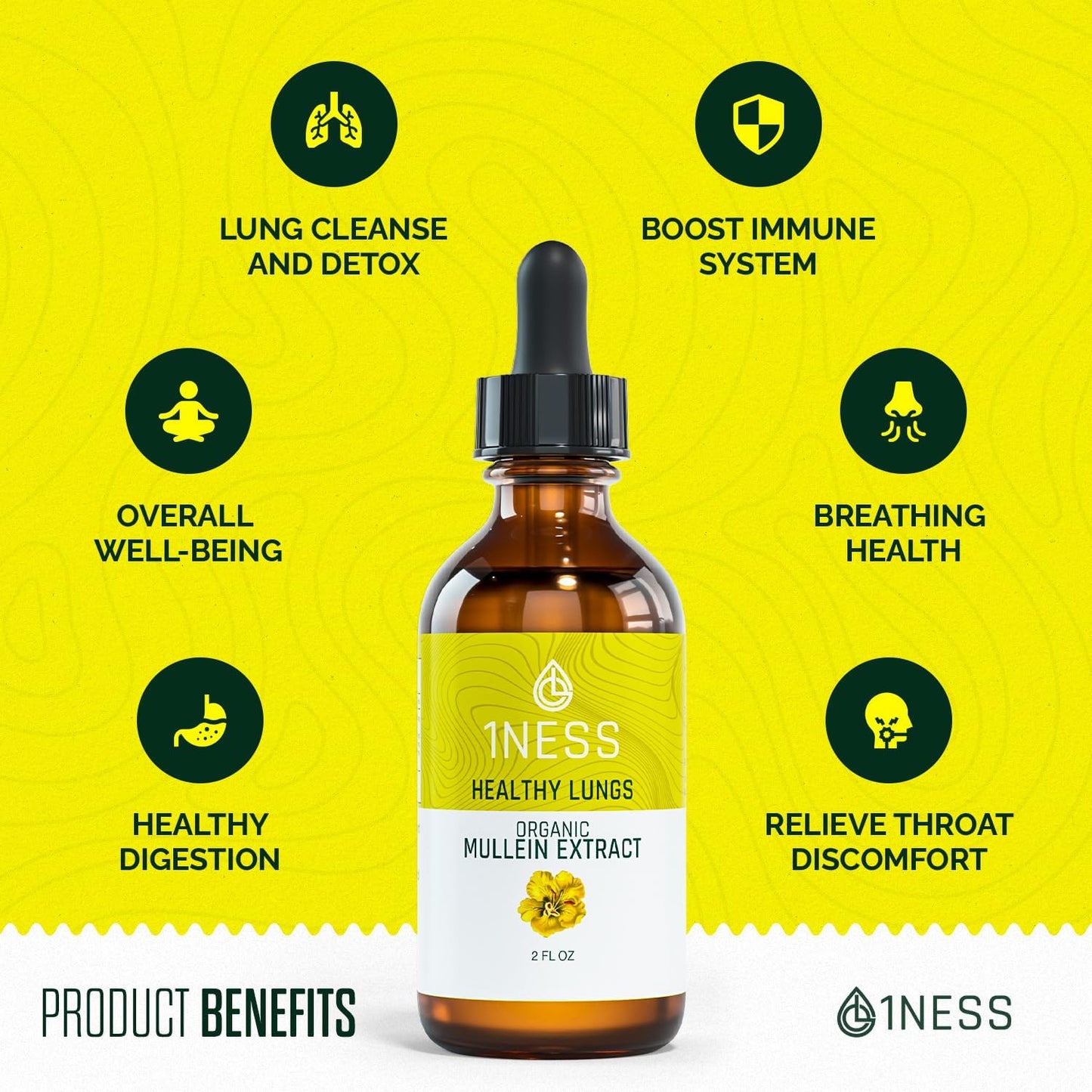 organic-mullein-leaf-extract-drops-for-lung-health-immune-support---2oz-tincture-with-chlorophyll-for-respiratory-wellness---non-gmo-formula-5