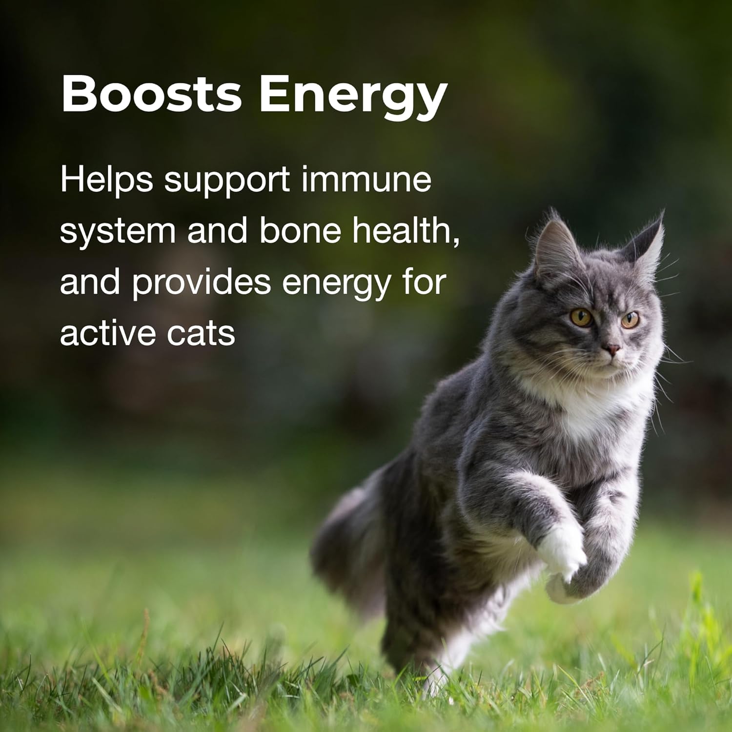 cat-vitamin-mineral-gel-supplement---35-oz---daily-essentials-for-cats-4-months---easy-to-digest-formula-5