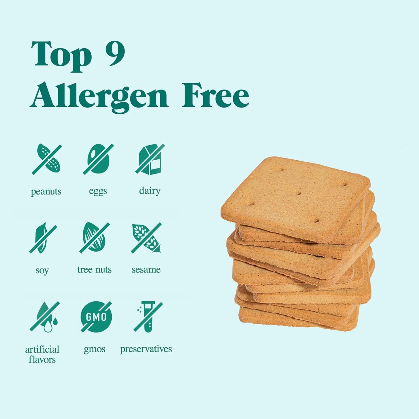 partake-foods-vegan-friendly-gluten-free-graham-crackers-nut-free-allergen-free-safe-school-snack-for-kids-by-partake-3
