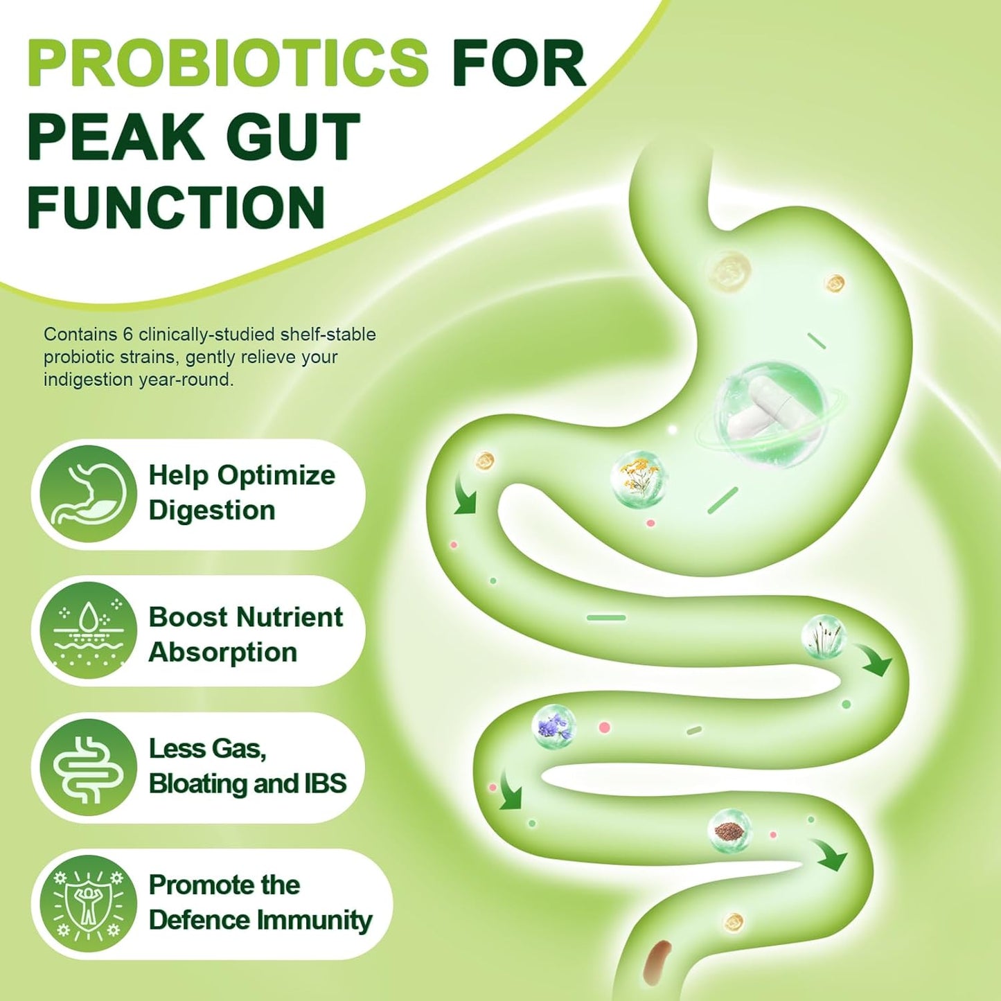 digestive-health-probiotic-with-prebiotic-fiber---60-billion-cfu-supplement-for-men-women---promotes-gut-cleanse-and-regularity---120-veggie-capsules-3