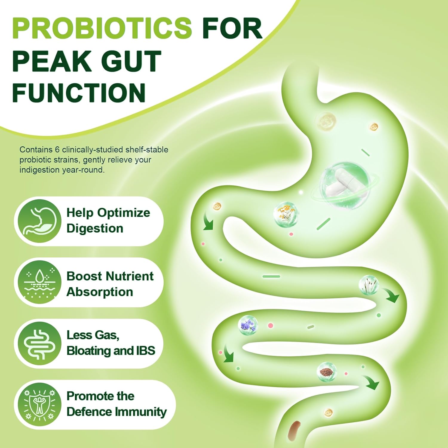 digestive-health-probiotic-with-prebiotic-fiber---60-billion-cfu-supplement-for-men-women---promotes-gut-cleanse-and-regularity---120-veggie-capsules-3