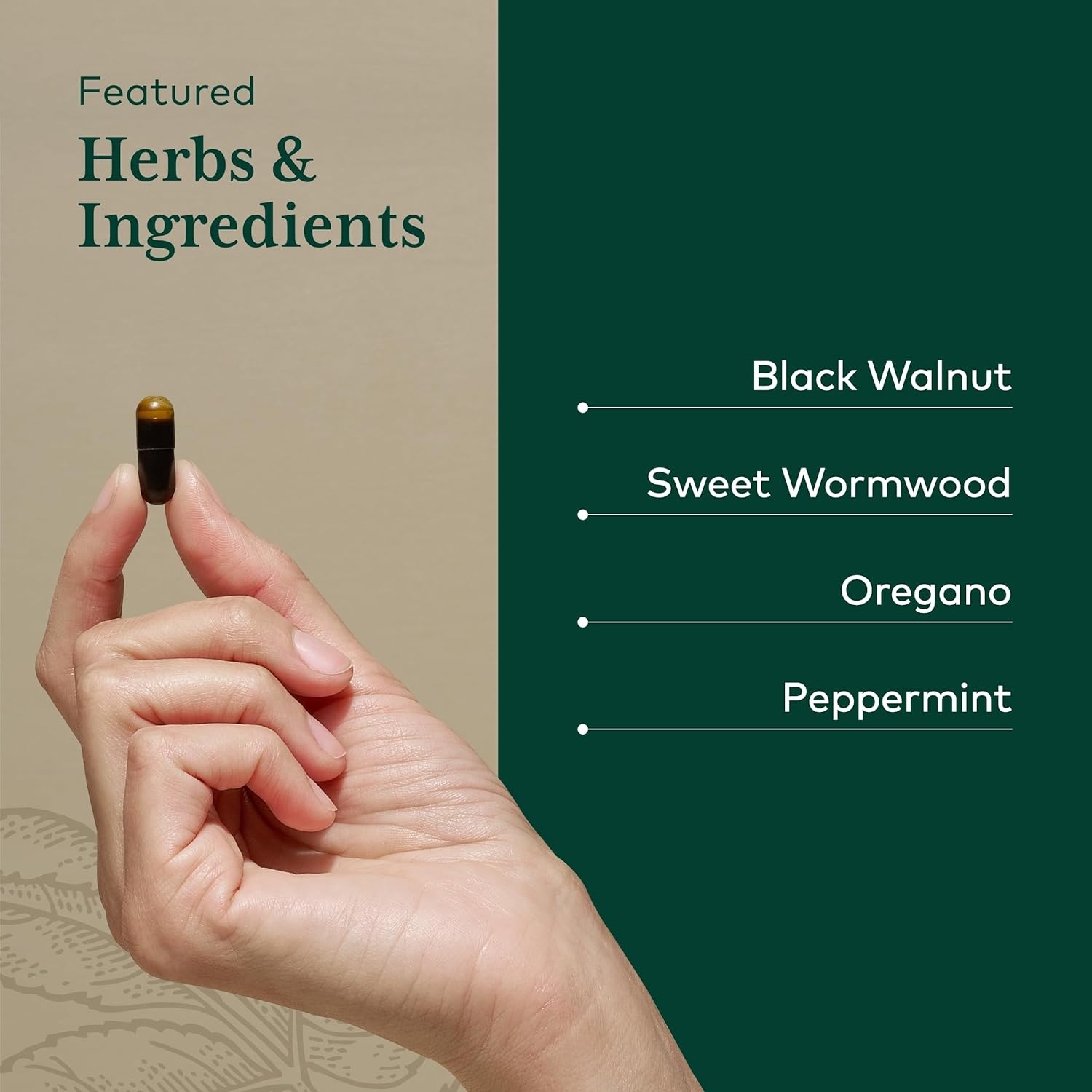 gaia-herbs-gaia-pro-microbiome-cleanse---natural-supplement-for-gut-health-and-digestive-balance-4