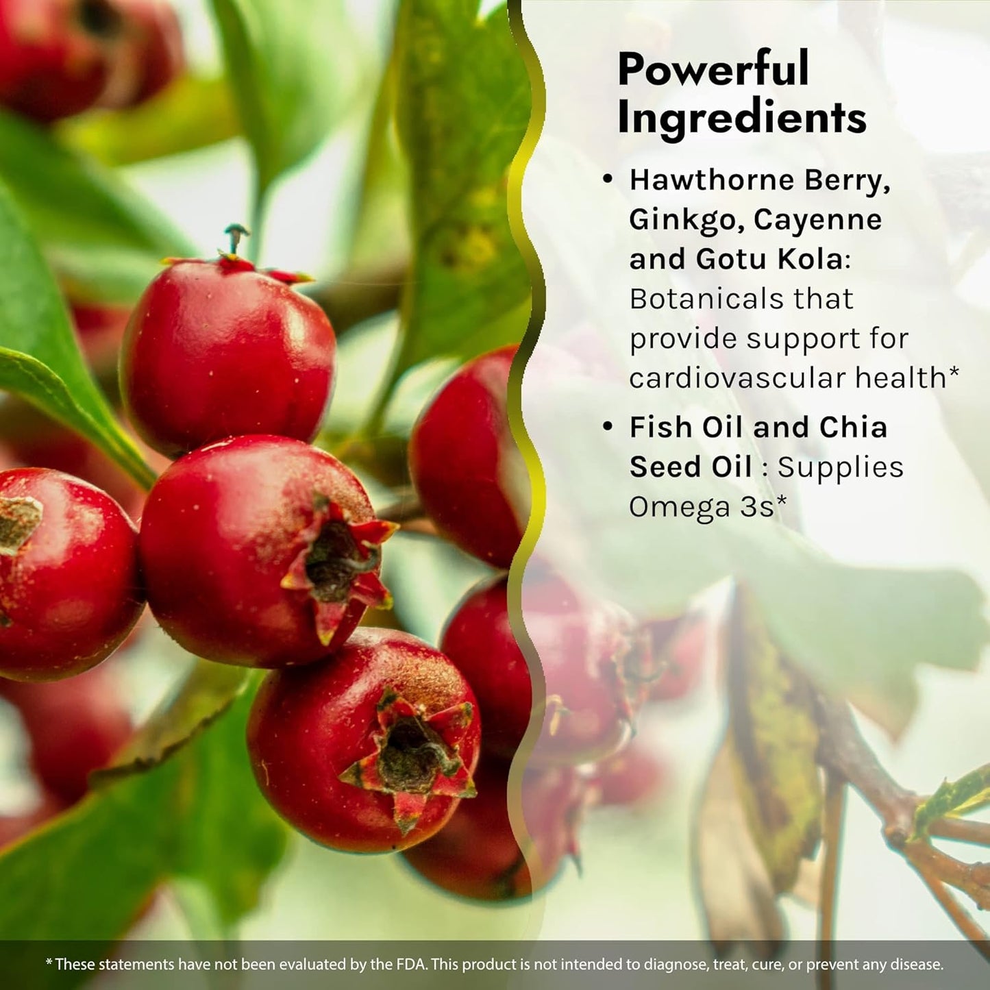 irwin-naturals-coq10-plus-liquid-soft-gels-with-chia-seed-oil-for-enhanced-heart-health-support-60-count-4