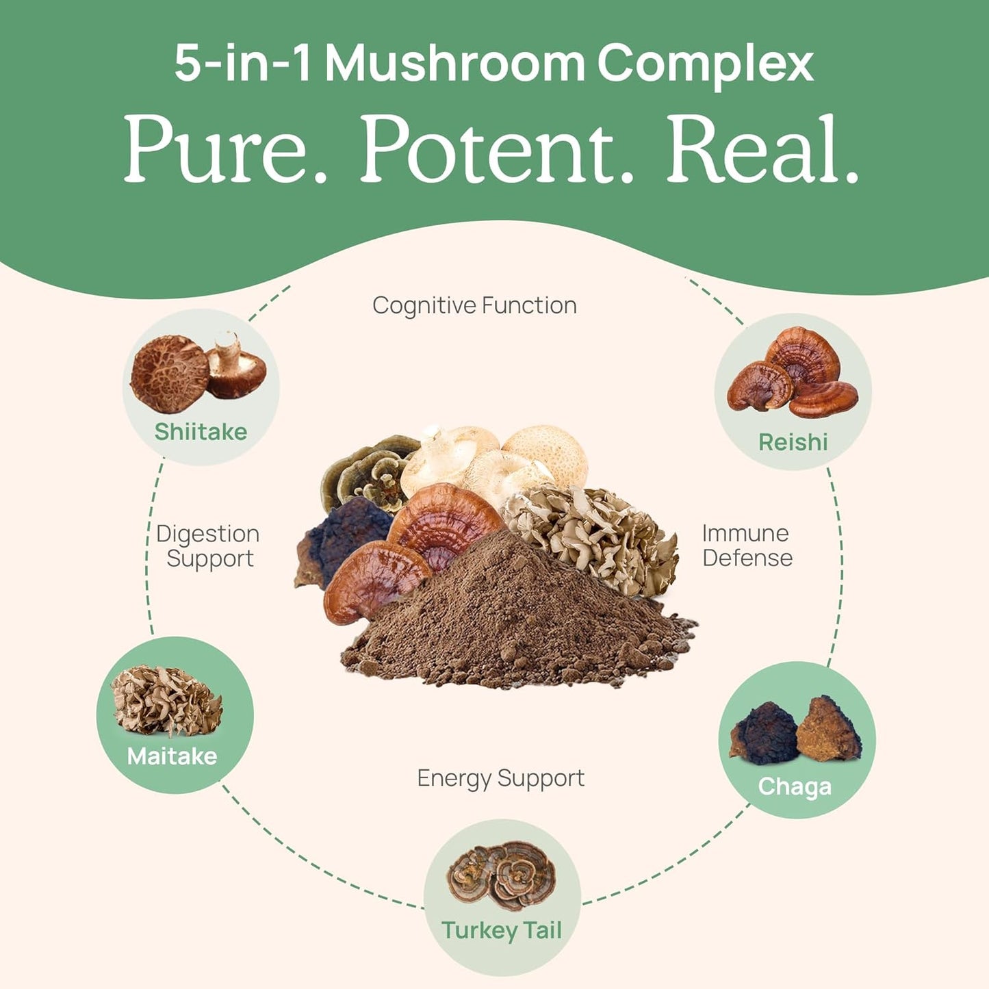organic-mushroom-extract-capsules---immune-support-supplement-with-chaga-shiitake-maitake-turkey-tail-reishi-for-focus---vegan-non-gmo---90-capsules-4