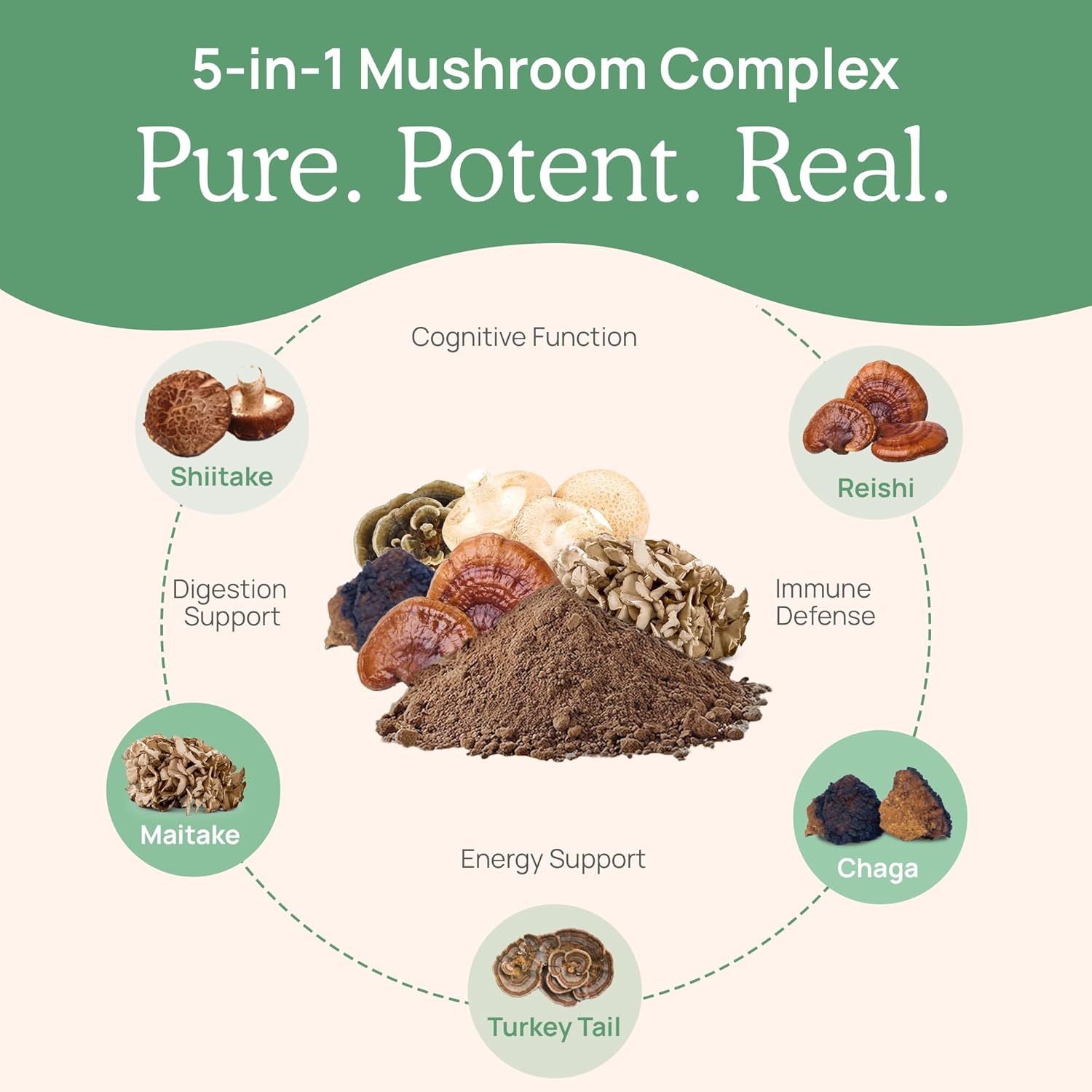 organic-mushroom-extract-capsules---immune-support-supplement-with-chaga-shiitake-maitake-turkey-tail-reishi-for-focus---vegan-non-gmo---90-capsules-4