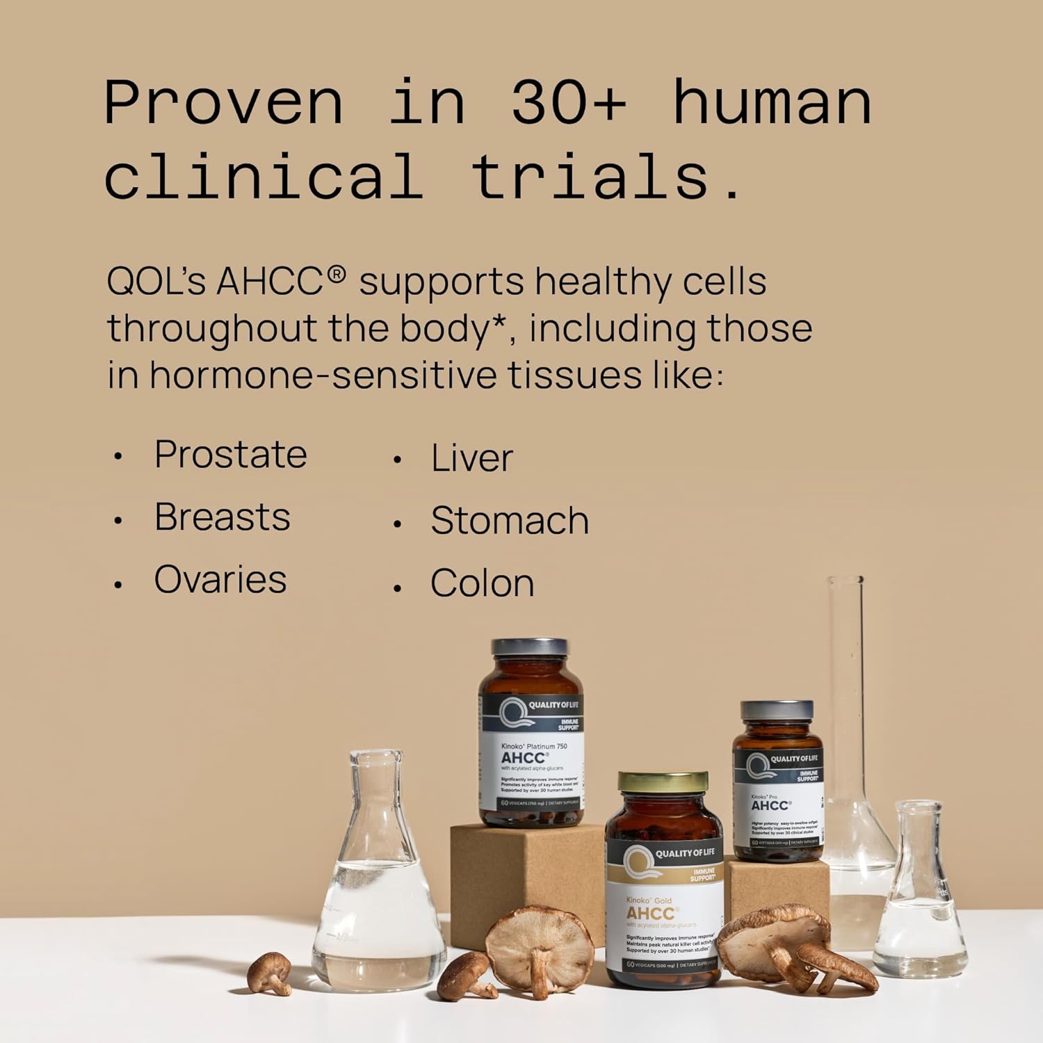 high-quality-ahcc-immune-support-supplement---enhanced-bioavailability---natural-mushroom-extract---quality-of-life-ahcc-kinoko-rx-5