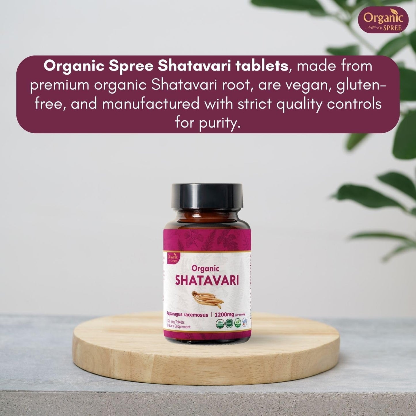 Organic Shatavari Tablets 240ct - 1200mg Asparagus Racemosus per Serving - Women's Health Support - Immune System Booster - Vegan & USDA Certified - Pack of 2 - Espot.com.au