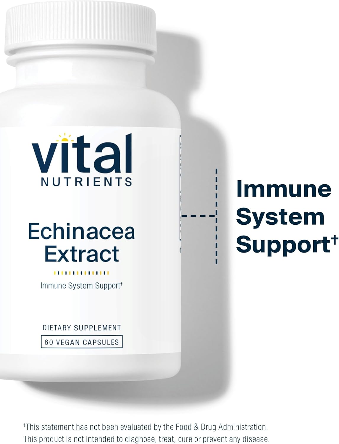 1000mg-echinacea-extract-capsules-for-immune-support---vegan-non-gmo---gluten-dairy-soy-free---60-count-6