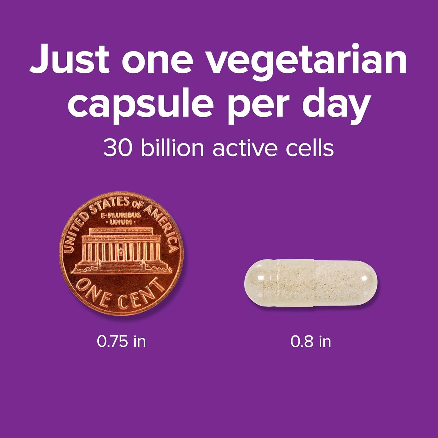 webber-naturals-high-potency-probiotics-for-men-women-and-adults---30-billion-cfu-shelf-stable-8-probiotic-strains---30-vegetarian-capsules-for-digestive-health-4