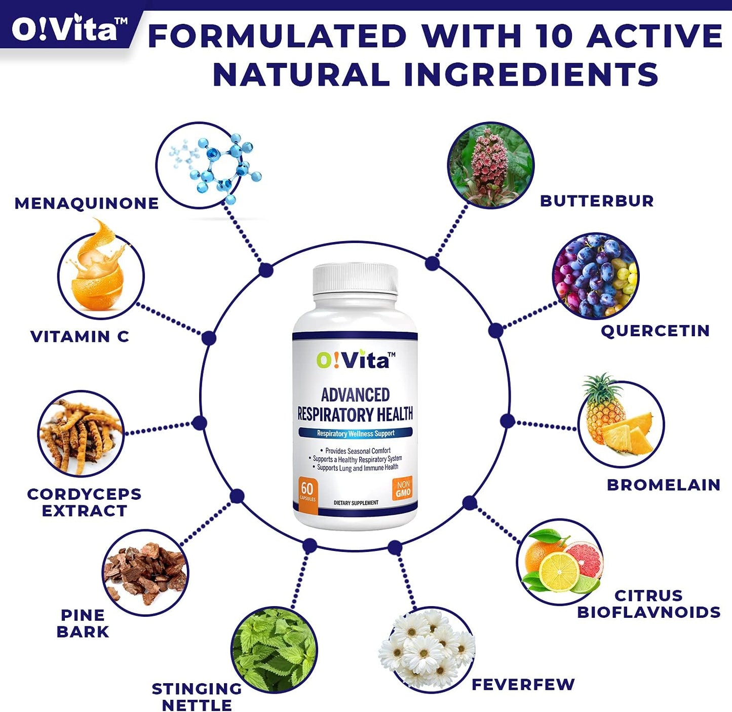 ovita-respiratory-health-support---lung-detox-cleanse-seasonal-comfort---herbal-blend-with-quercetin-butterbur-cordyceps---60-capsules-2-month-supply-4