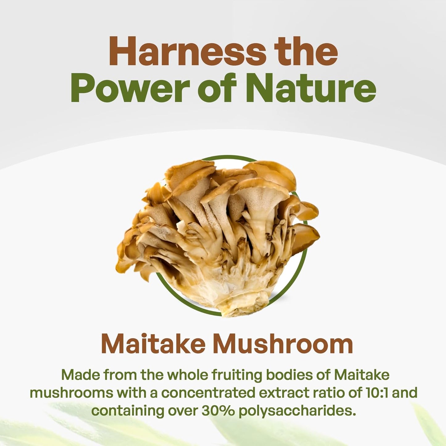 organic-maitake-mushroom-extract-powder---8-oz-101-extract-strength-high-polysaccharides-mushroom-supplement---king-of-mushrooms-3