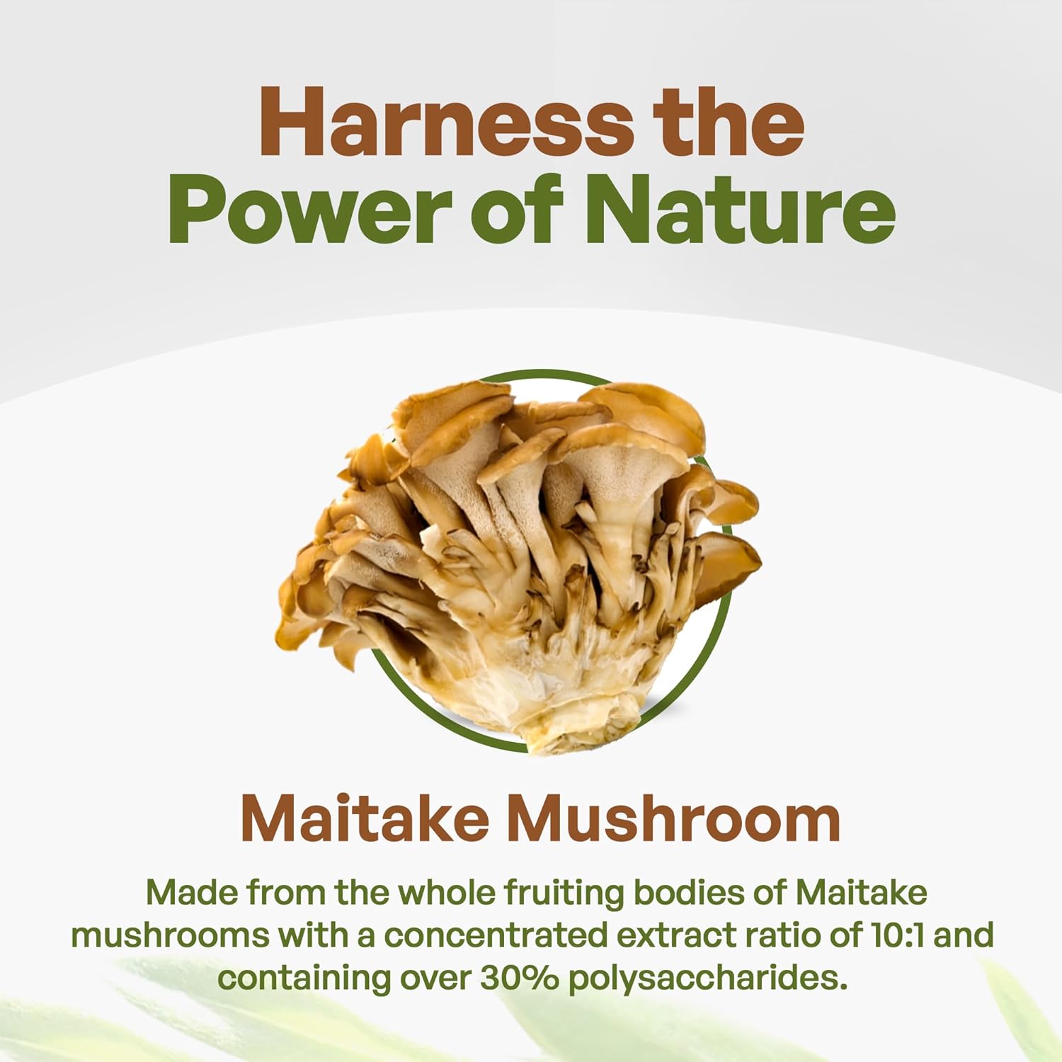 organic-maitake-mushroom-extract-powder---8-oz-101-extract-strength-high-polysaccharides-mushroom-supplement---king-of-mushrooms-3
