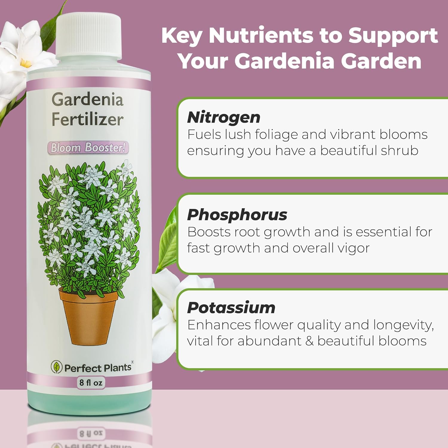 8oz-gardenia-liquid-fertilizer-for-indooroutdoor-flowering-plants---tailored-bloom-boosting-plant-food-by-perfect-plants-2