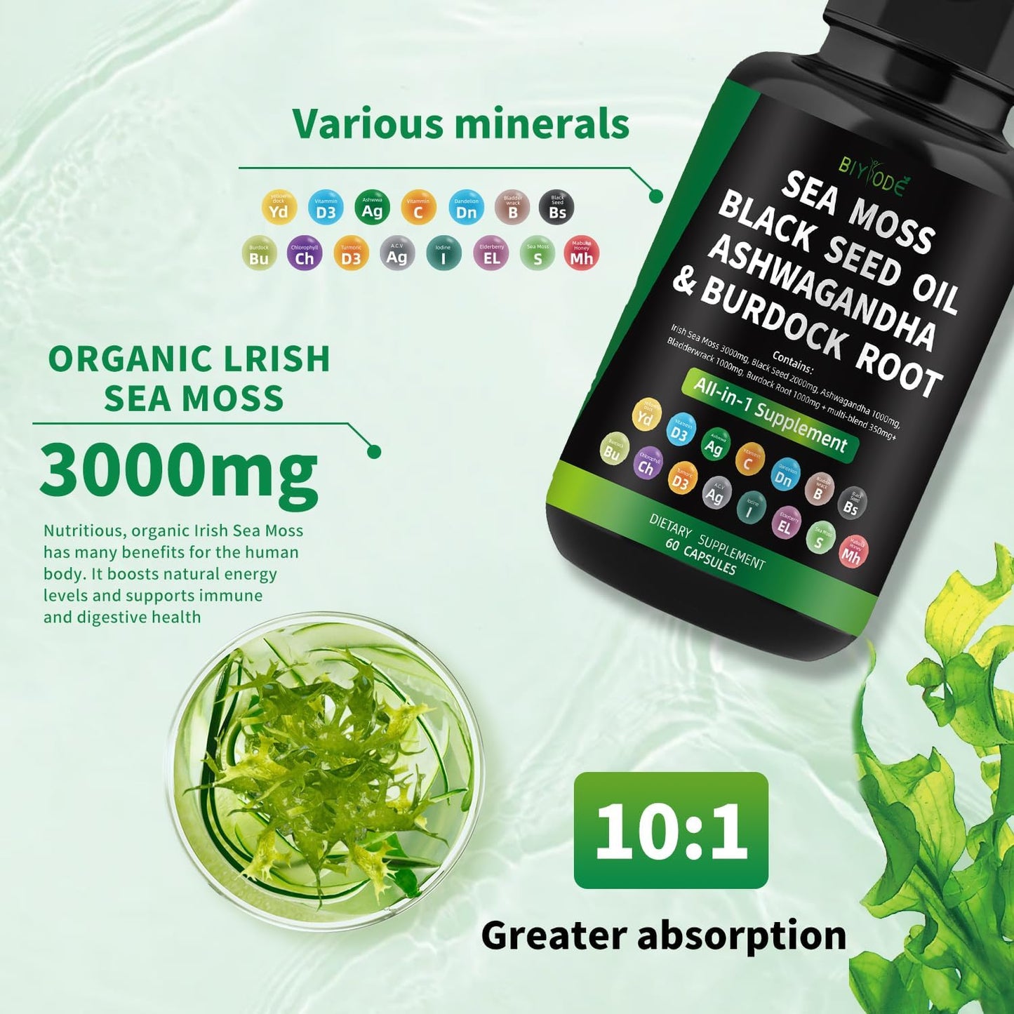 sea-moss-capsules-with-black-seed-ashwagandha-bladderwrack-burdock-root-and-vitamins---60-capsules-30-day-supply-6