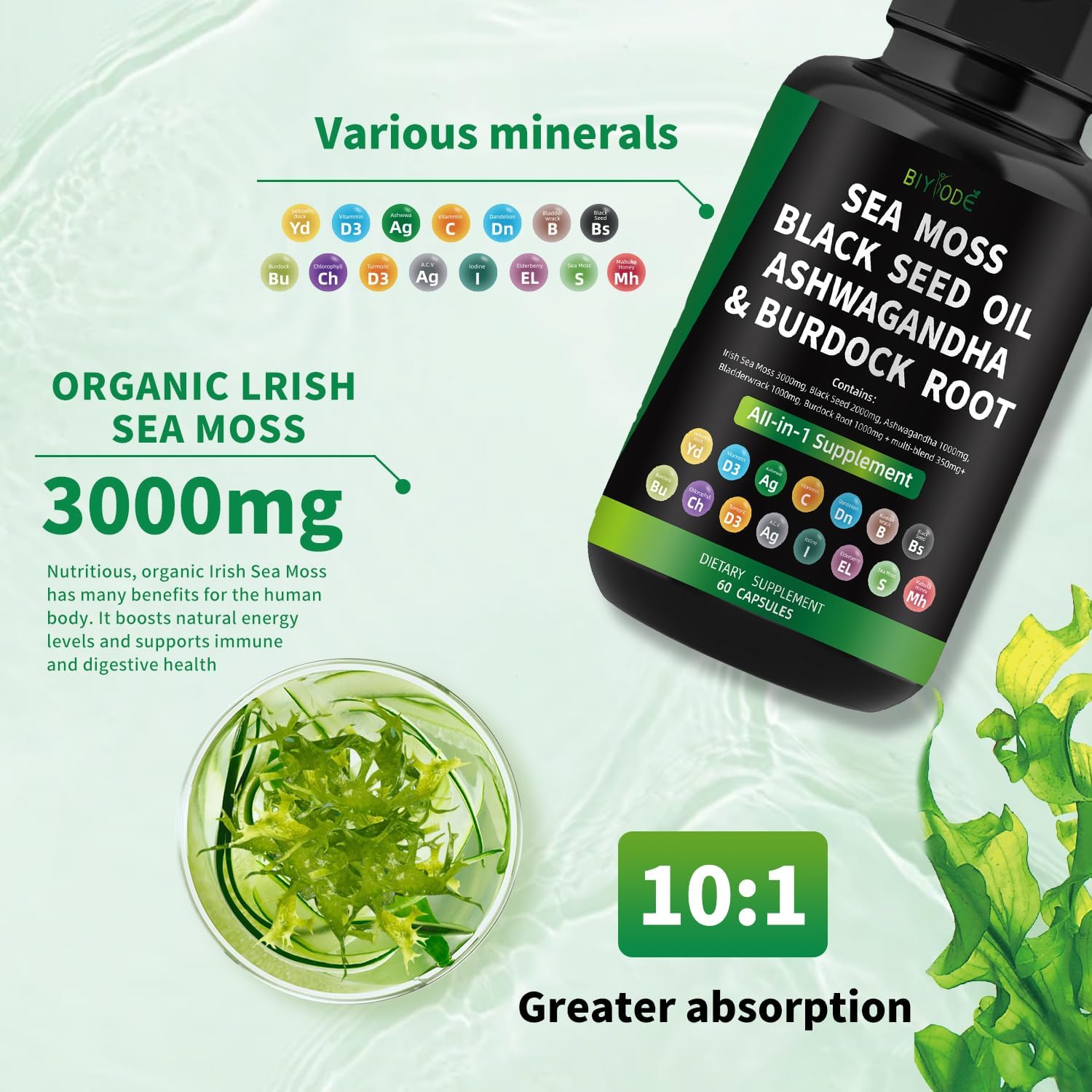 sea-moss-capsules-with-black-seed-ashwagandha-bladderwrack-burdock-root-and-vitamins---60-capsules-30-day-supply-6
