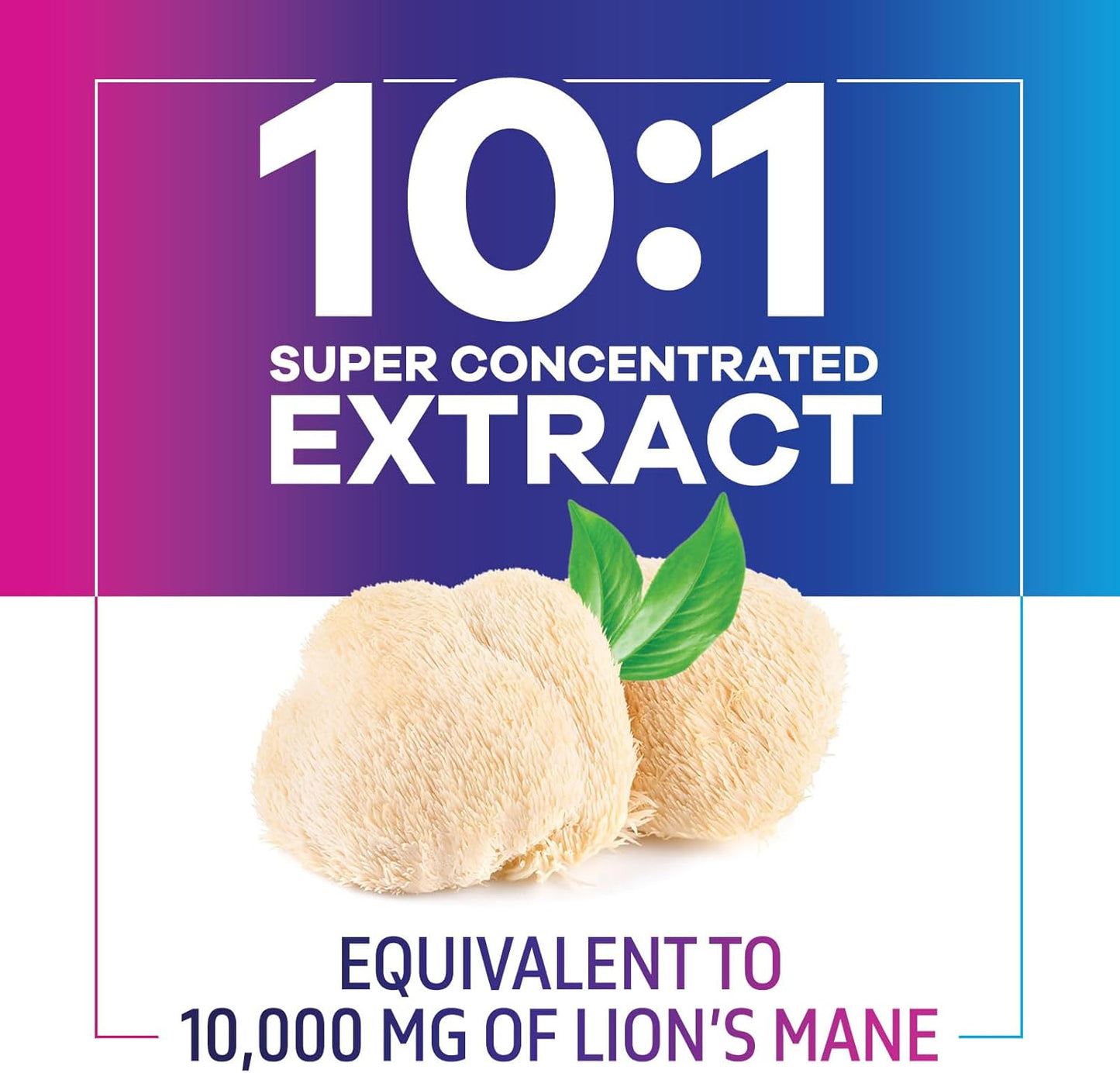 Lion's Mane Mushroom Supplement for Brain Support - Focus, Memory, Cognition & Immune Boost - Nootropic Extract - Non-GMO, Vegetarian - 120 Caps - Espot.com.au