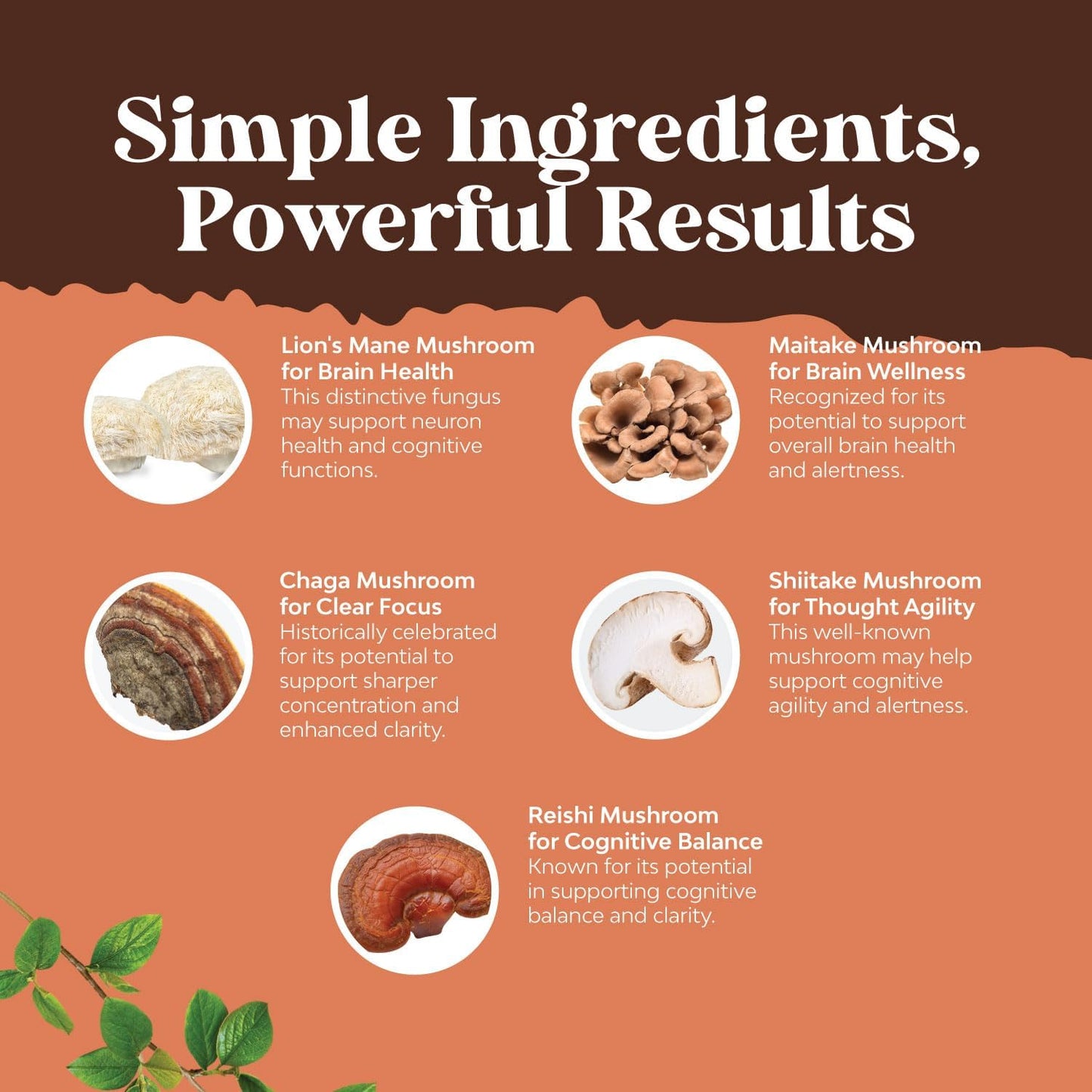 natures-craft-advanced-mushroom-complex-capsules---lions-mane-brain-health-supplement---memory-support-mental-clarity---60-capsules-4
