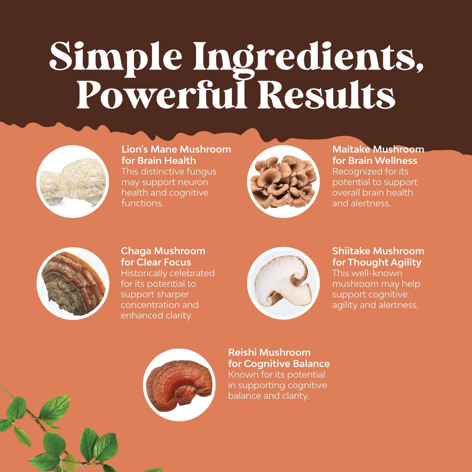 natures-craft-advanced-mushroom-complex-capsules---lions-mane-brain-health-supplement---memory-support-mental-clarity---60-capsules-4