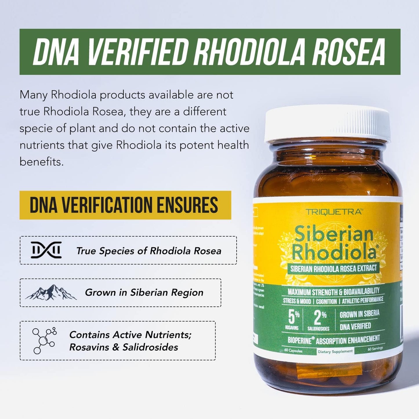 siberian-rhodiola-max-strength-capsules---5-rosavins-2-salidroside---bioperine-for-absorption---grown-in-siberia-dna-verified---reduce-stress-enhance-energy-cognition60-count-7