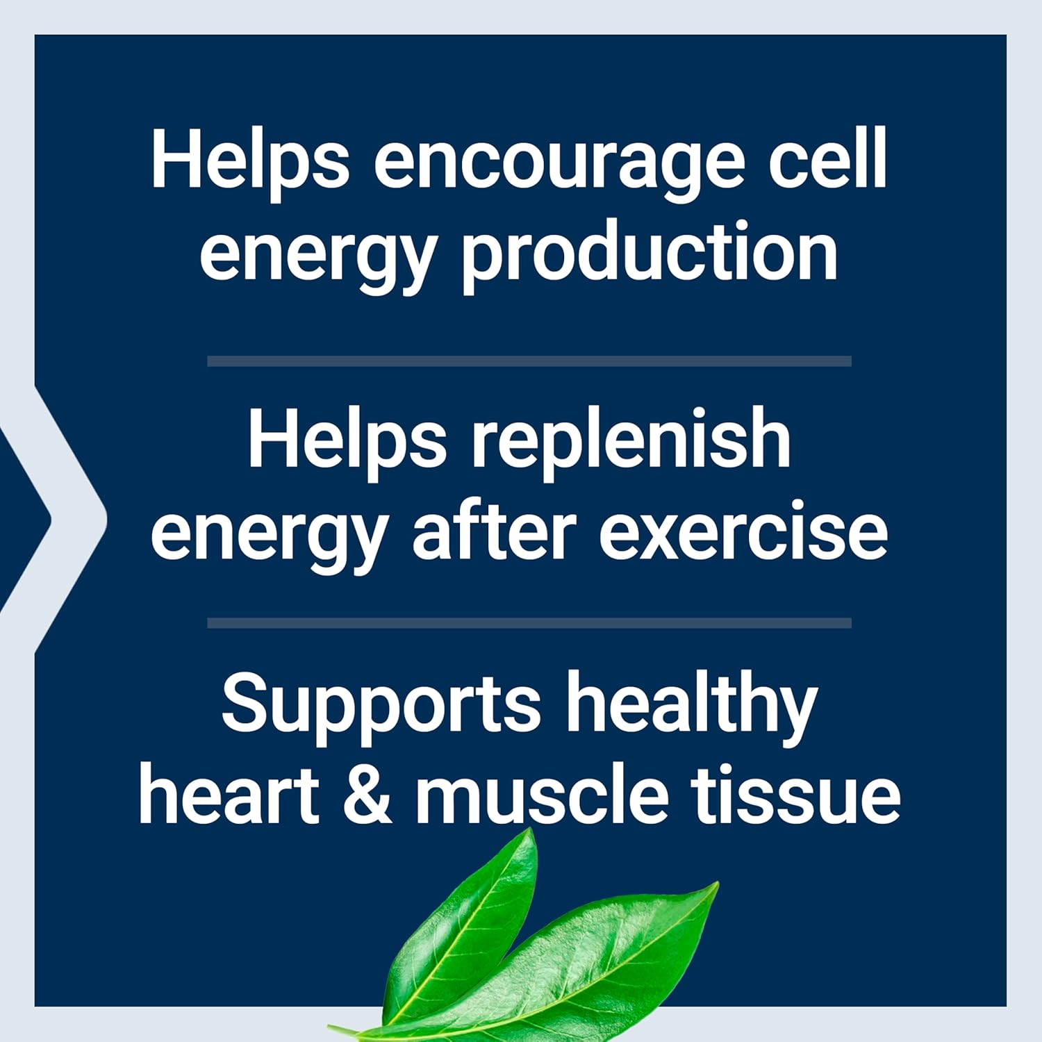 vegetarian-d-ribose-powder-for-cellular-energy-production-heart-muscle-health---gluten-free-non-gmo-150g-4