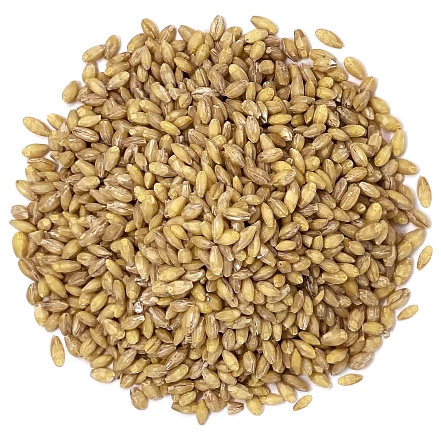organic-hulled-barley-bulk---non-gmo-whole-grain-vegan-kosher---3-lbs---high-fiber-for-brewing-grinding-chili-cereal-salads-soup-3