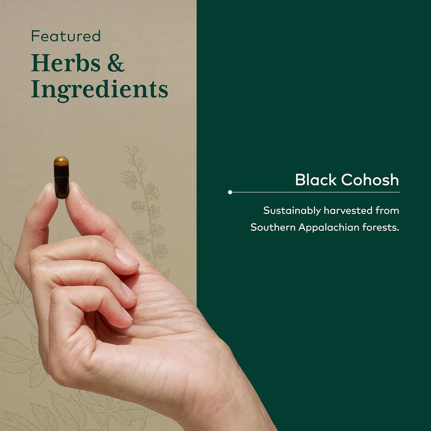 gaia-herbs-black-cohosh-herbal-supplements-for-menopause-support---60-vegan-liquid-phyto-capsules---hormone-balance-for-women-4