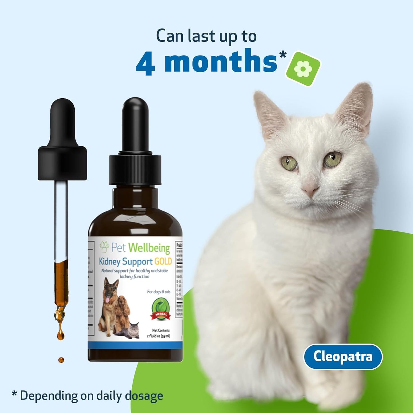 herbal-supplement-for-cats-supports-healthy-kidney-function-energy-levels-vet-formulated-kidney-support-gold-rehmannia-dong-quai-2-oz-bottle-6