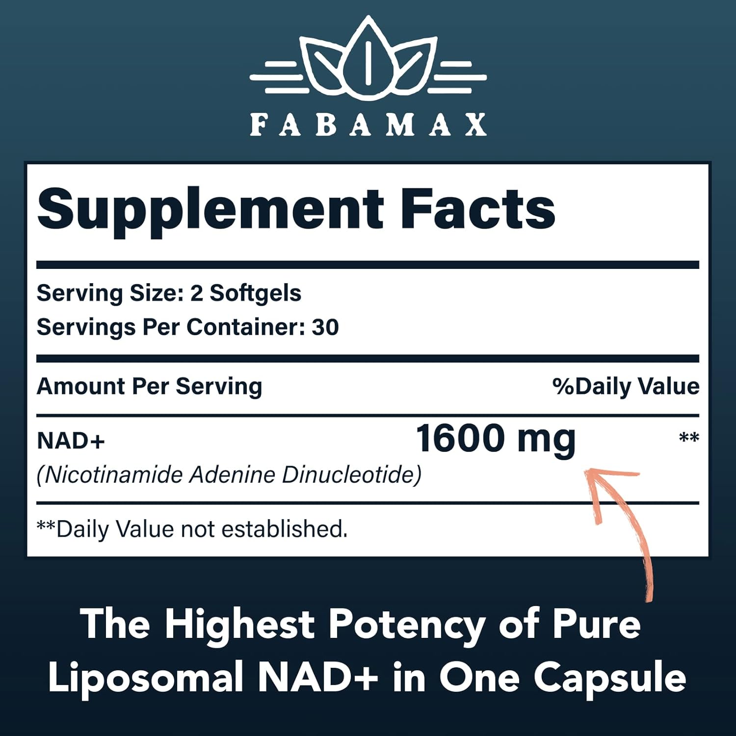 fabamax-liposomal-nad-supplement-1600mg---98-pure-nad-for-aging-defense-energy---high-absorption-alternative-to-nadh---60-softgels-for-longevity-vitality-2